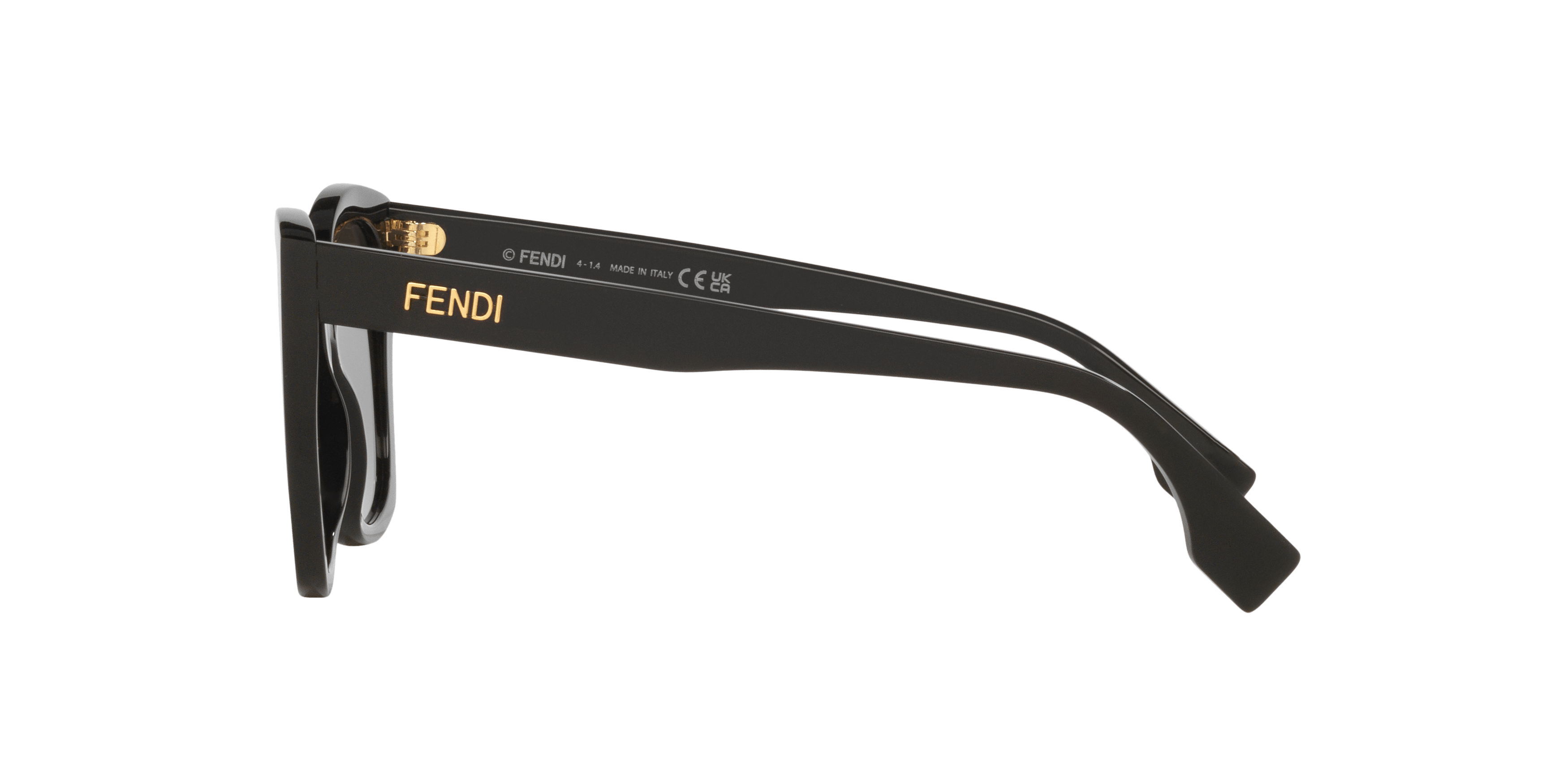 Angle_Left02, Fendi FN000806
