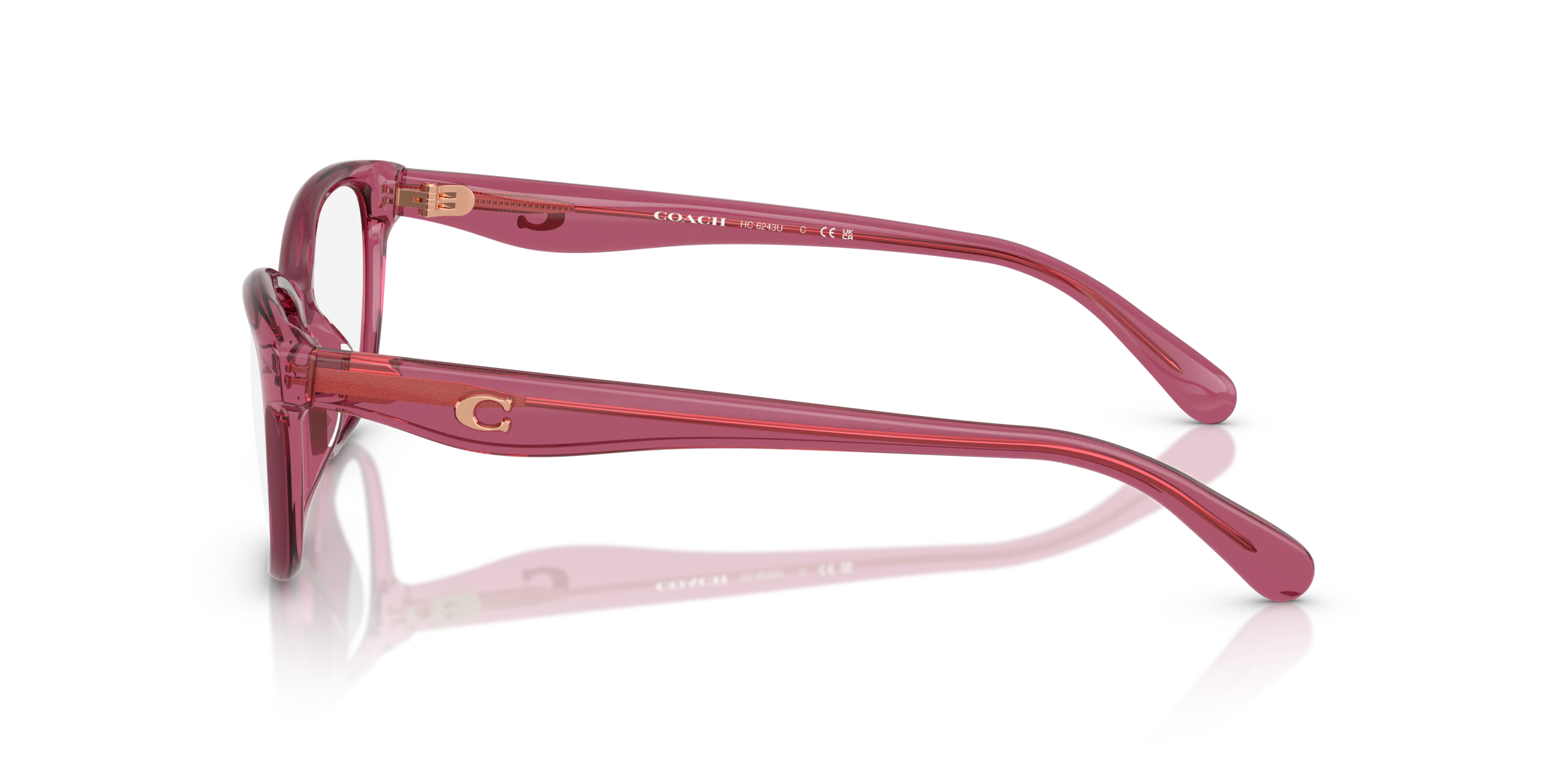 Angle_Left02, COACH HC6243U 5824