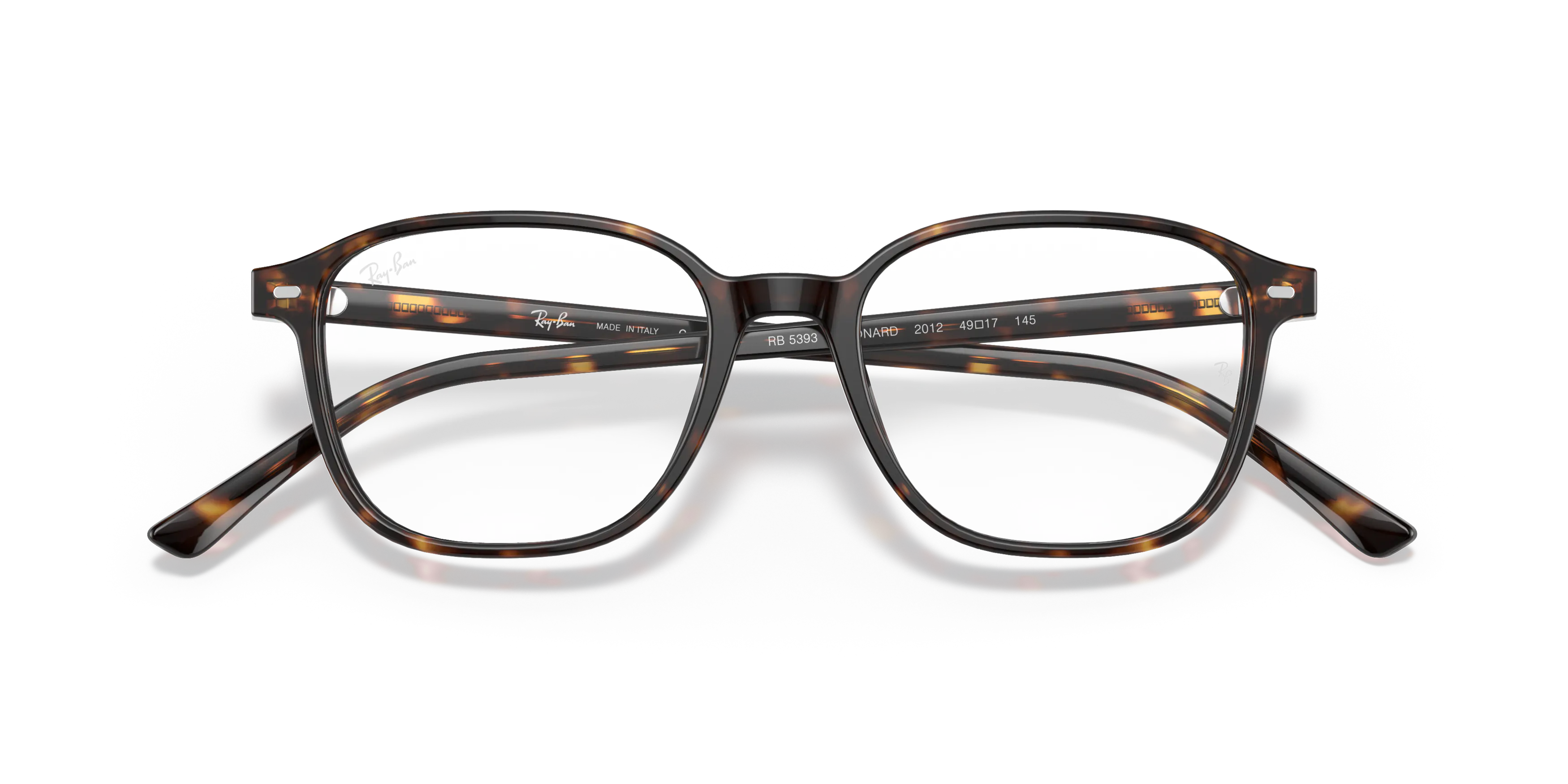 Folded, RAY-BAN Leonard Optics RX5393 2012