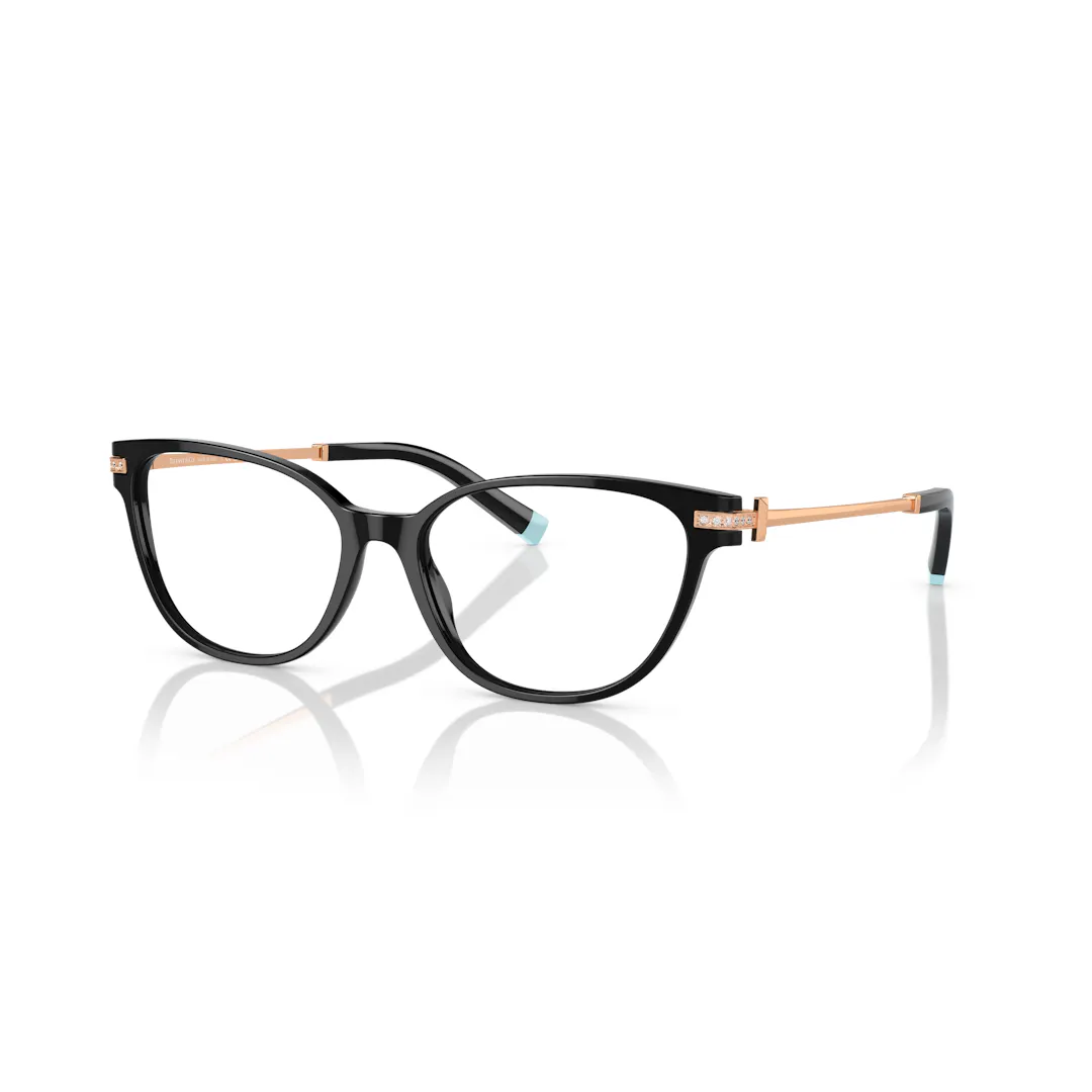 Tiffany & Co. 0TF2223B