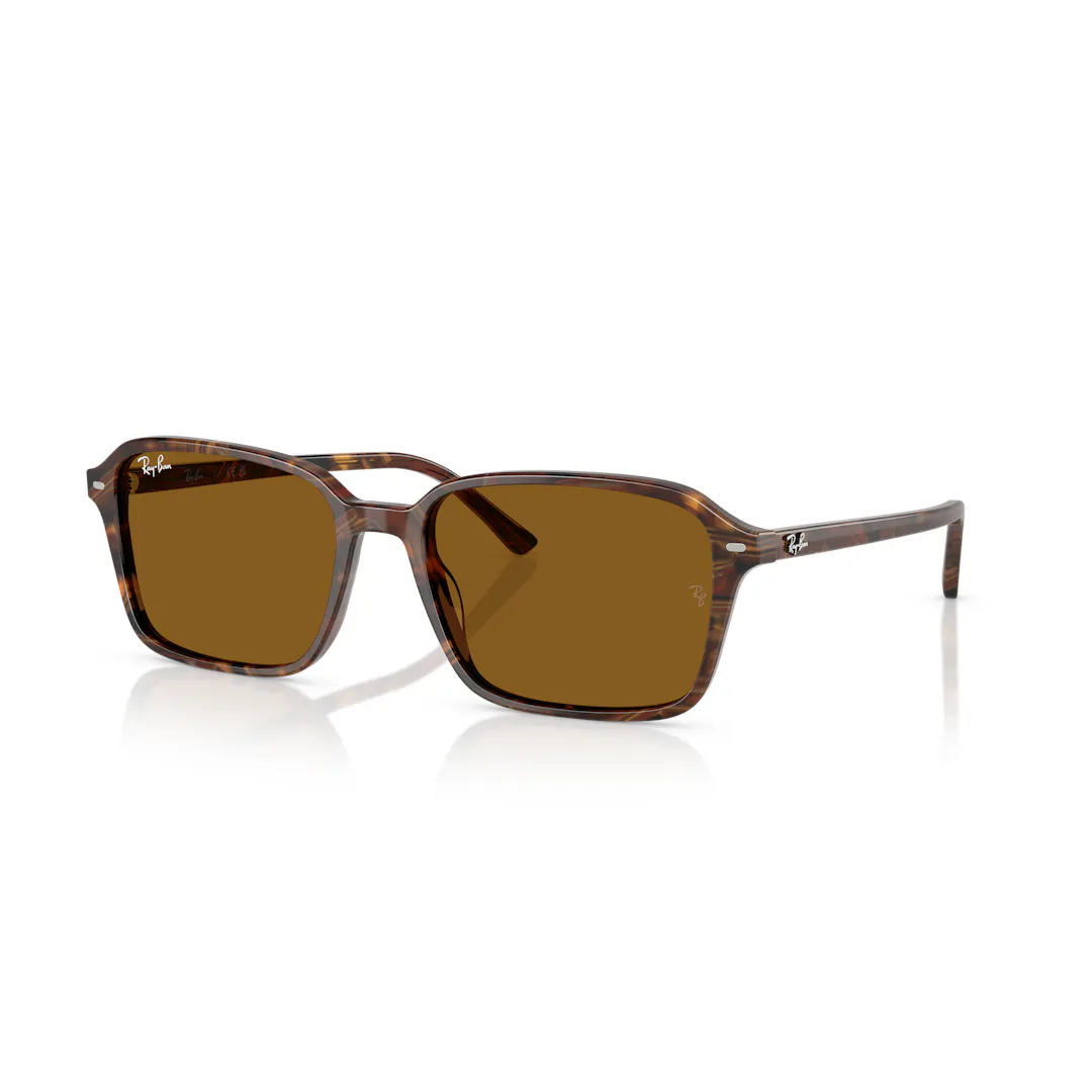 Photos - Sunglasses Ray-Ban Raimond RB2231 - Rectangle Square Brown