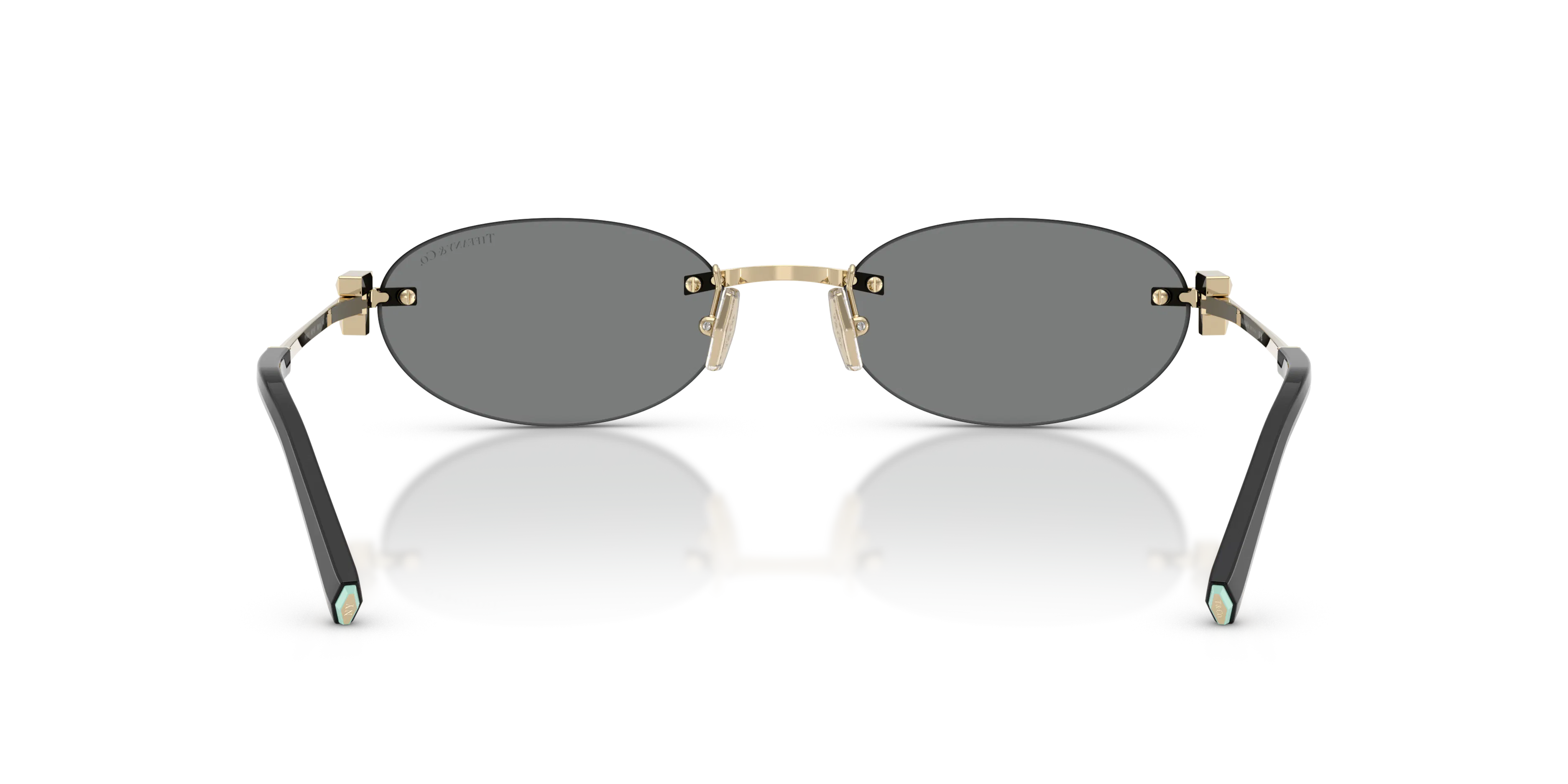 Detail02, Tiffany & Co. TF3119D 6885