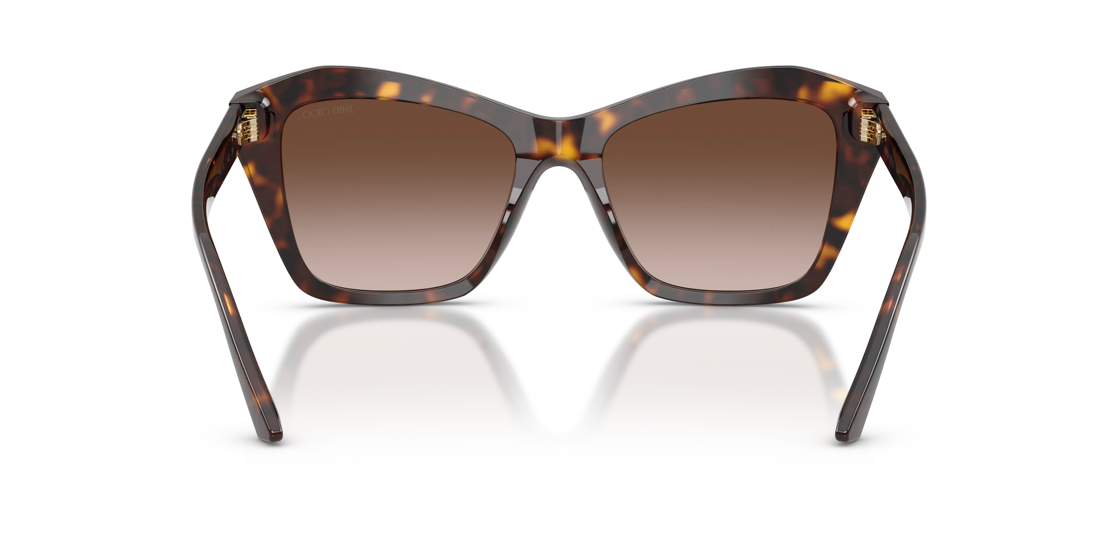 Detail02, Jimmy Choo JC 5076 Sunglasses