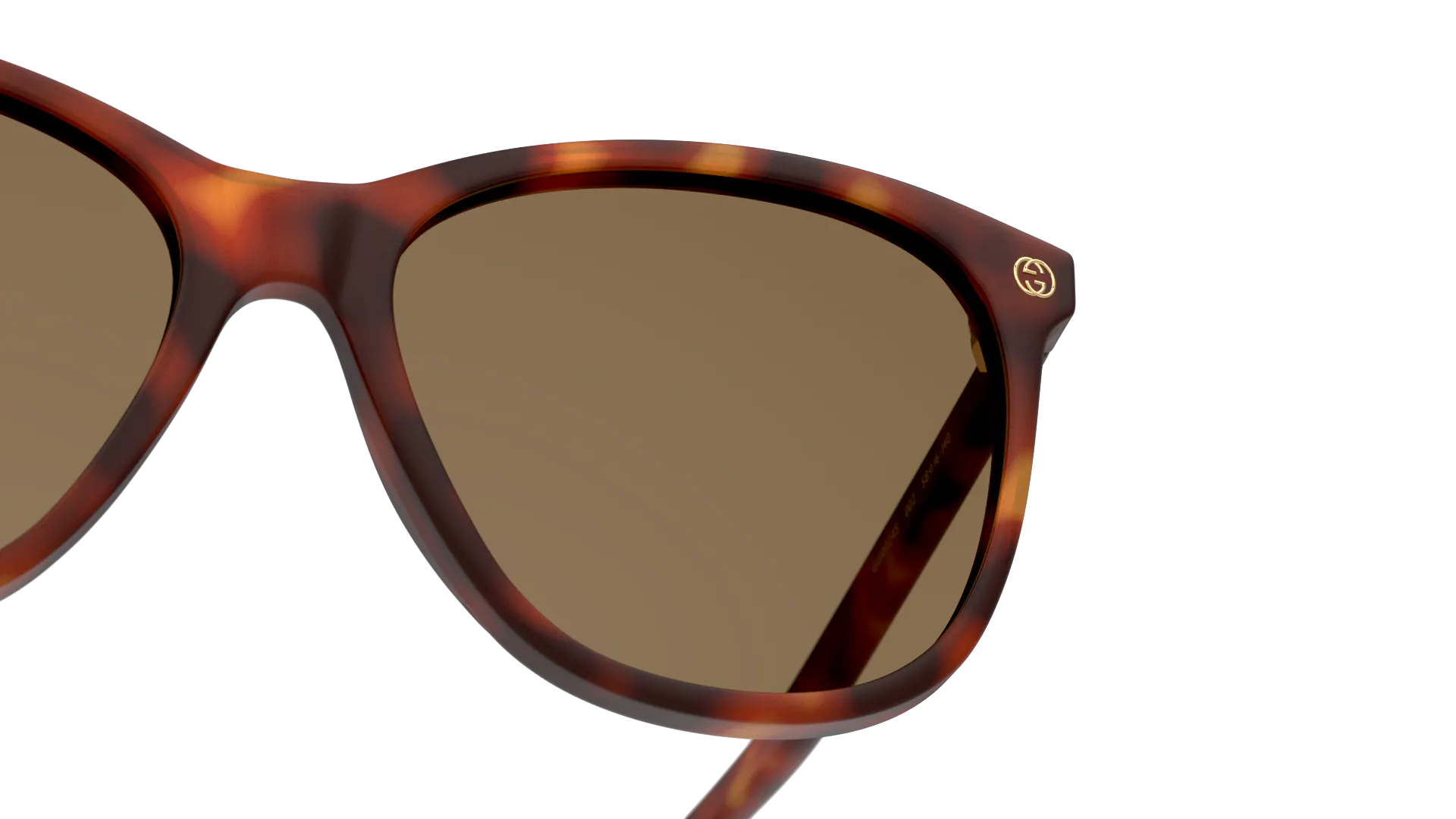 Detail01, Gucci GG 0024S Sunglasses