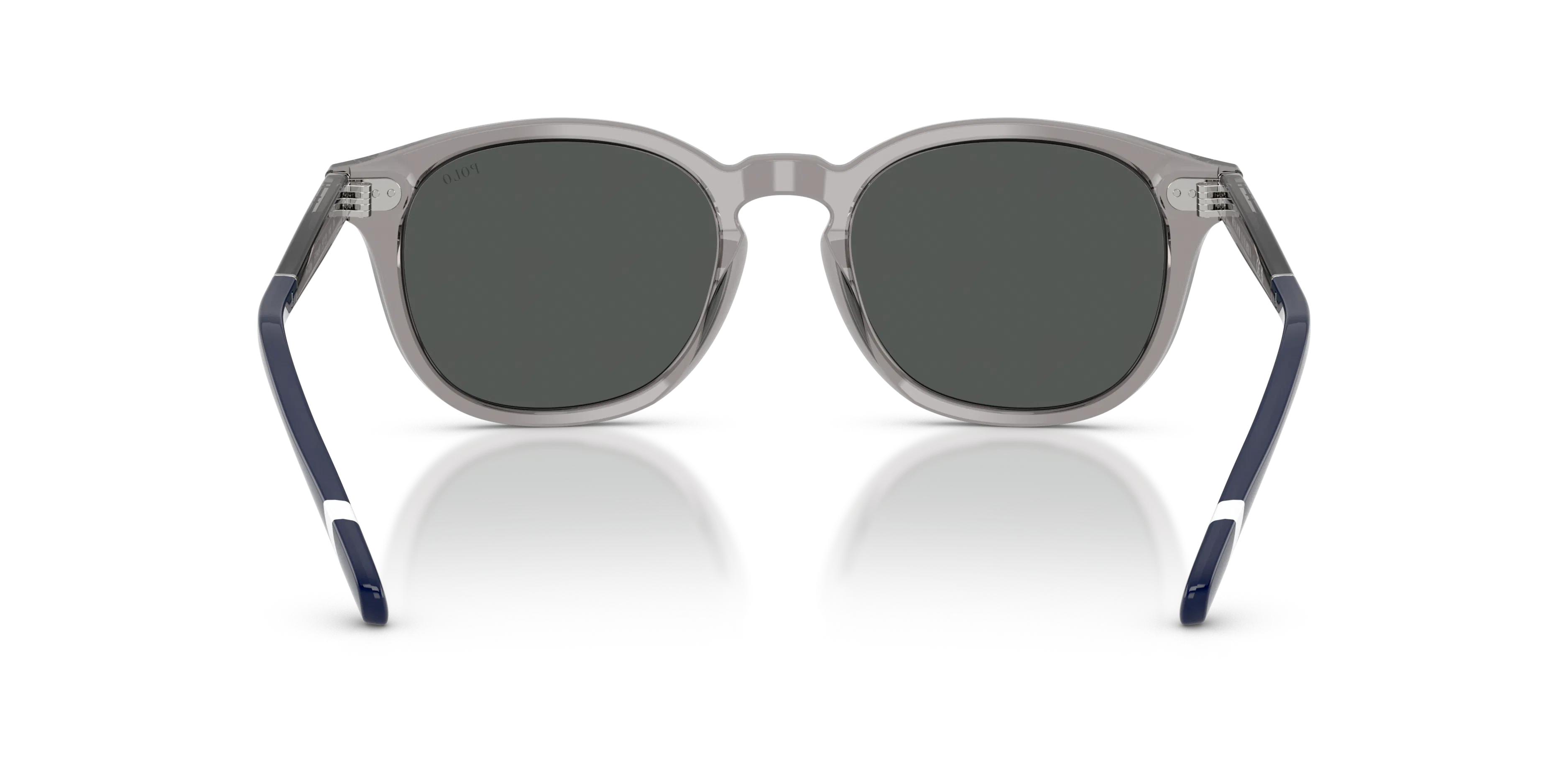 Detail02, Polo Ralph Lauren PH 4206 Sunglasses