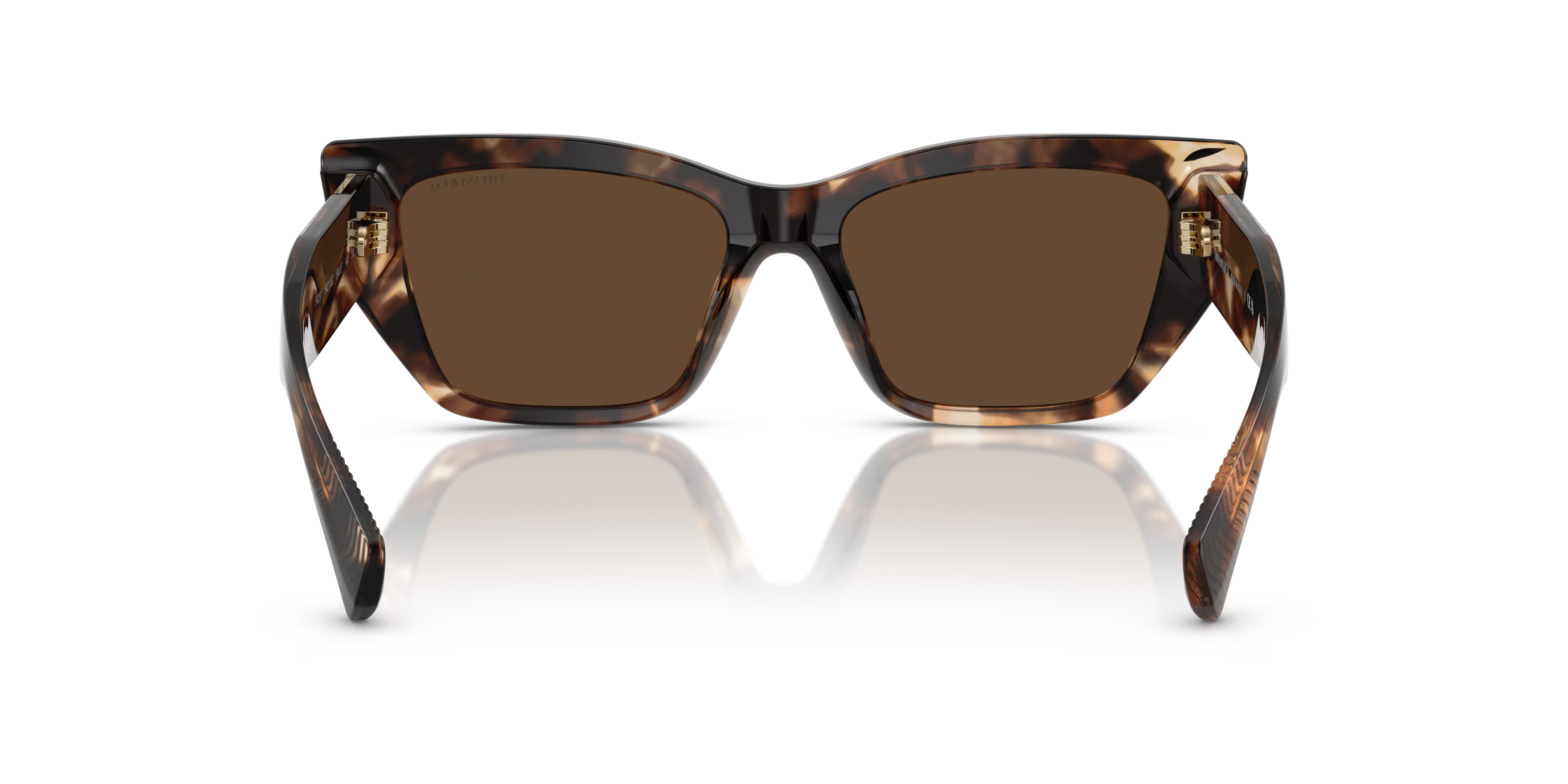 Detail02, Tiffany & Co TF4230 Sunglasses