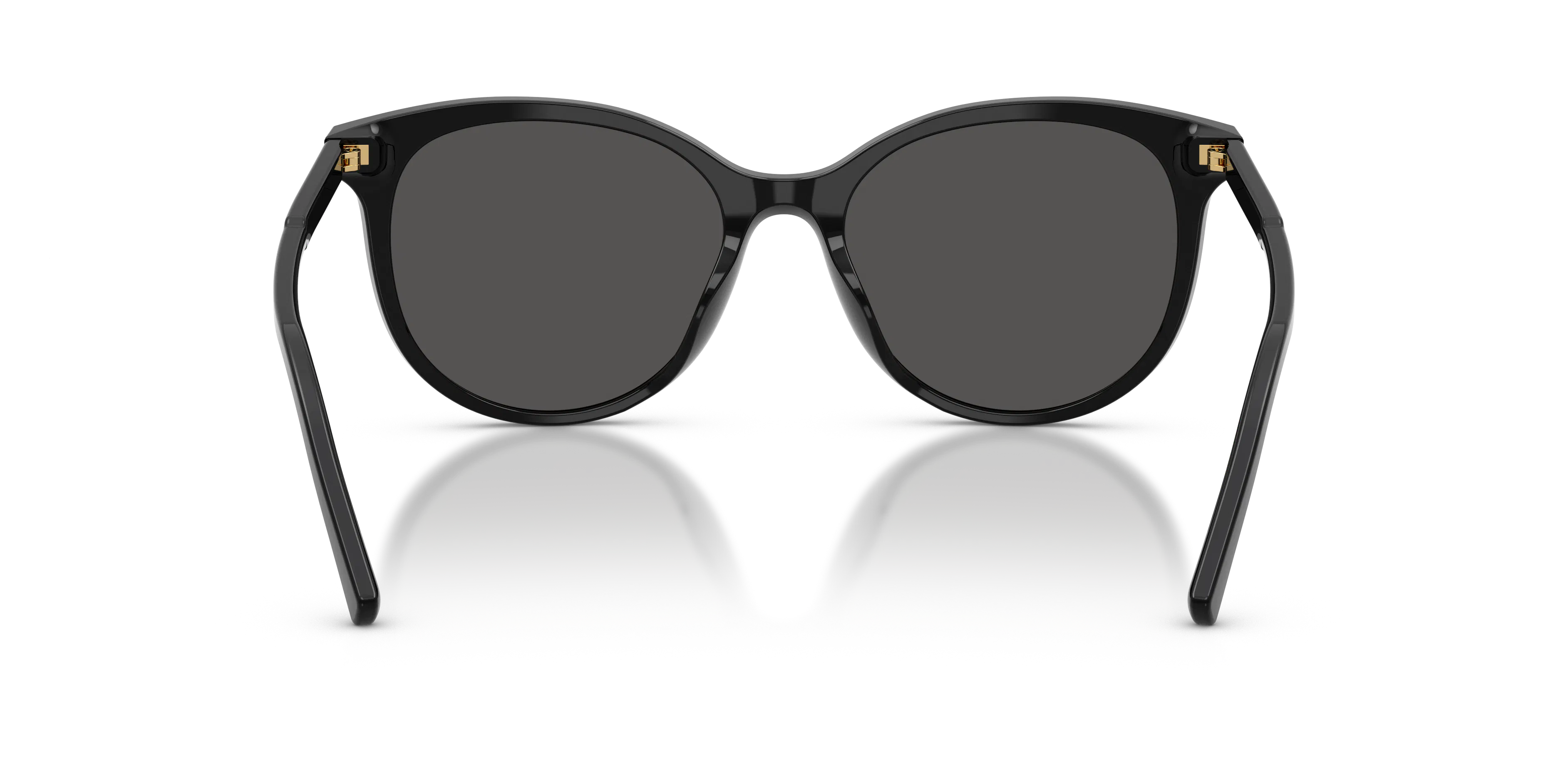 Detail02, Dolce&Gabbana DG4540 501/87