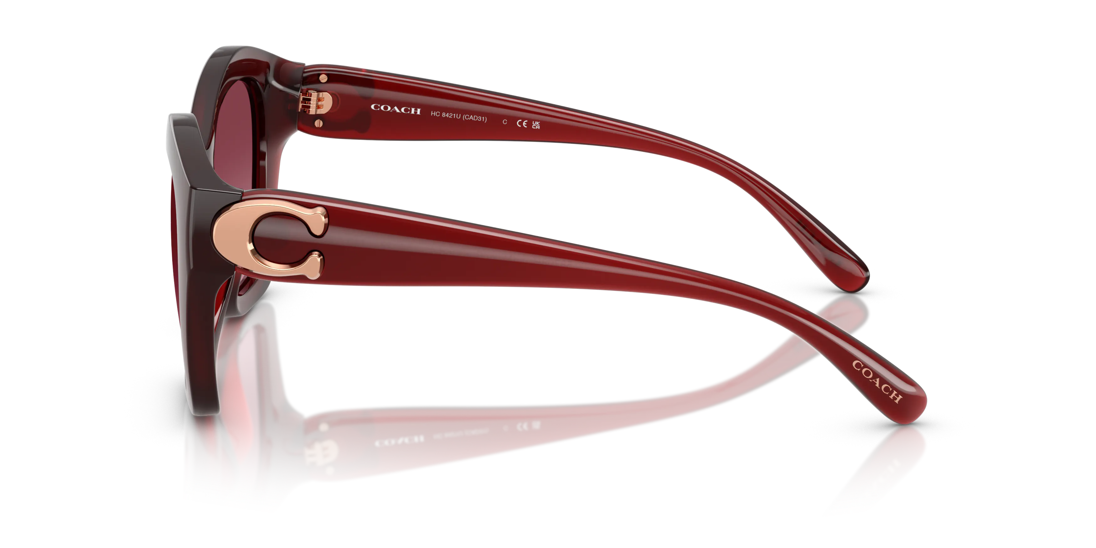 Angle_Left02, Coach HC8421U 54/22