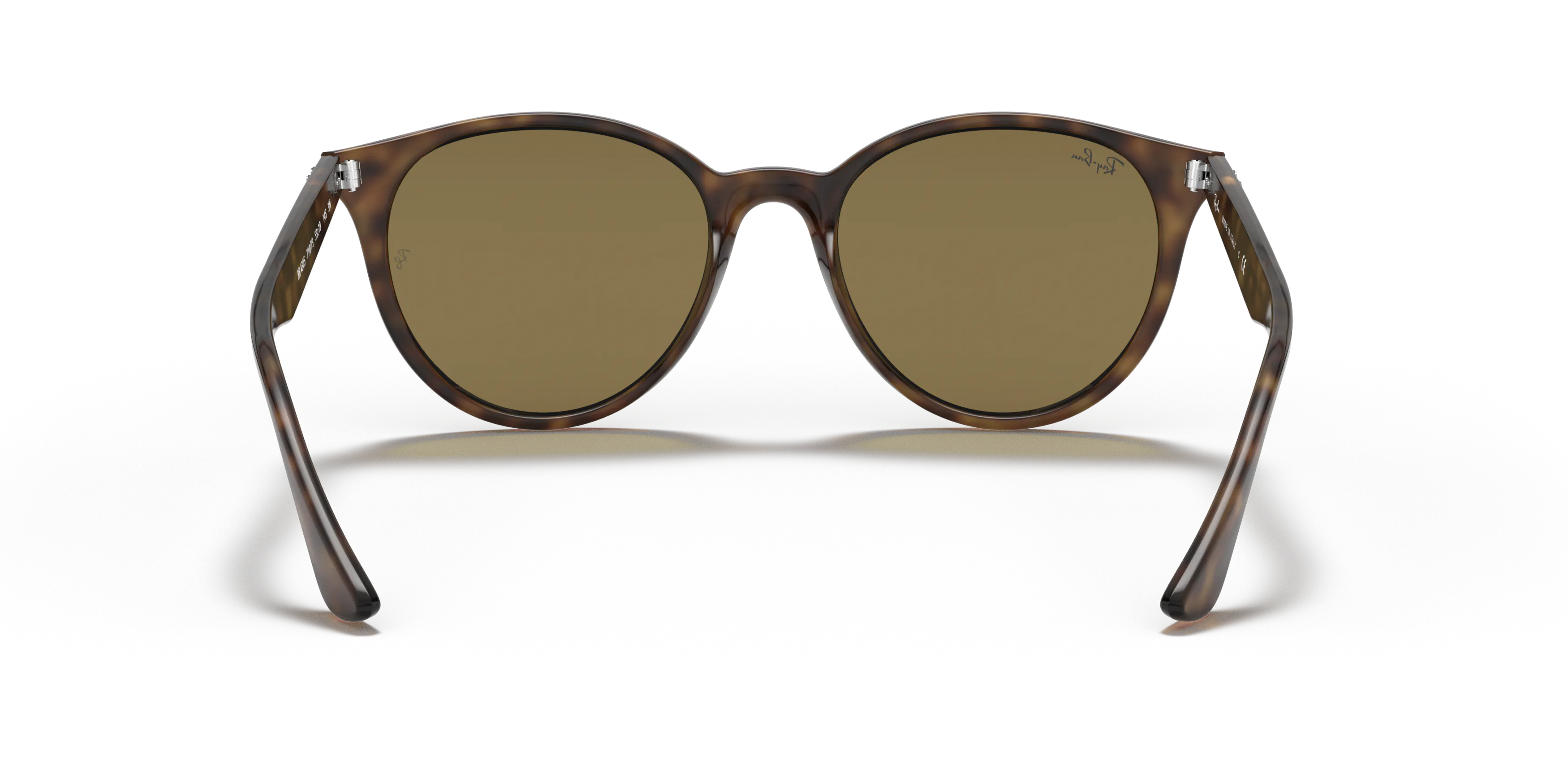 Detail02, Ray-Ban RB 4305 Sunglasses