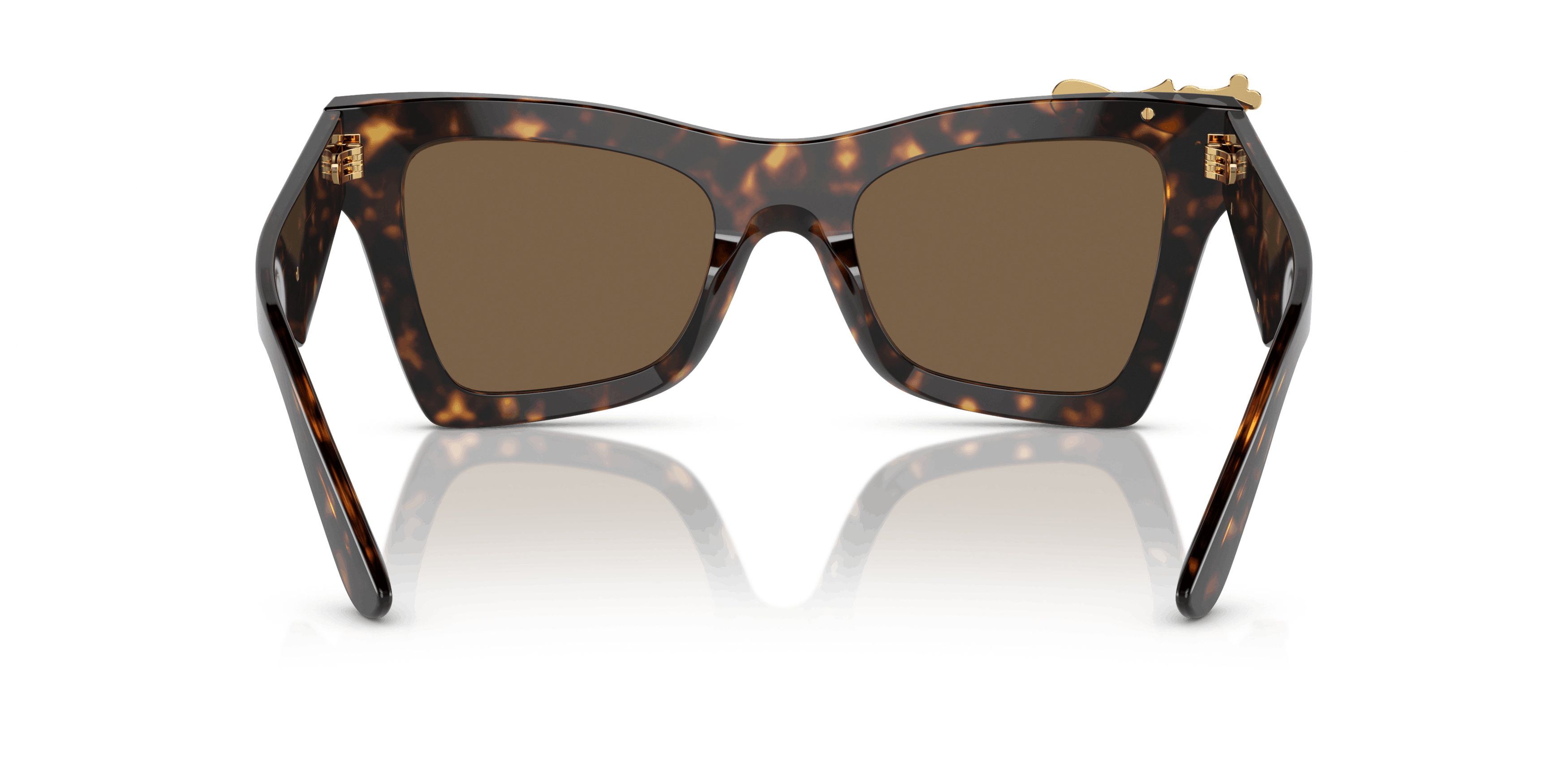 Detail02, Dolce&Gabbana DG4434 502/73