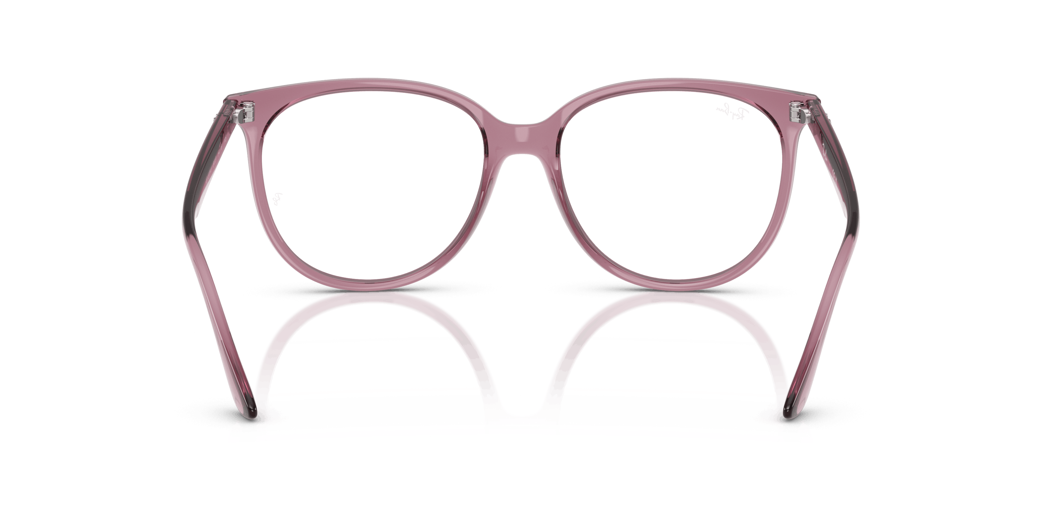 Detail02, Ray-Ban Optics RX4378V 8413