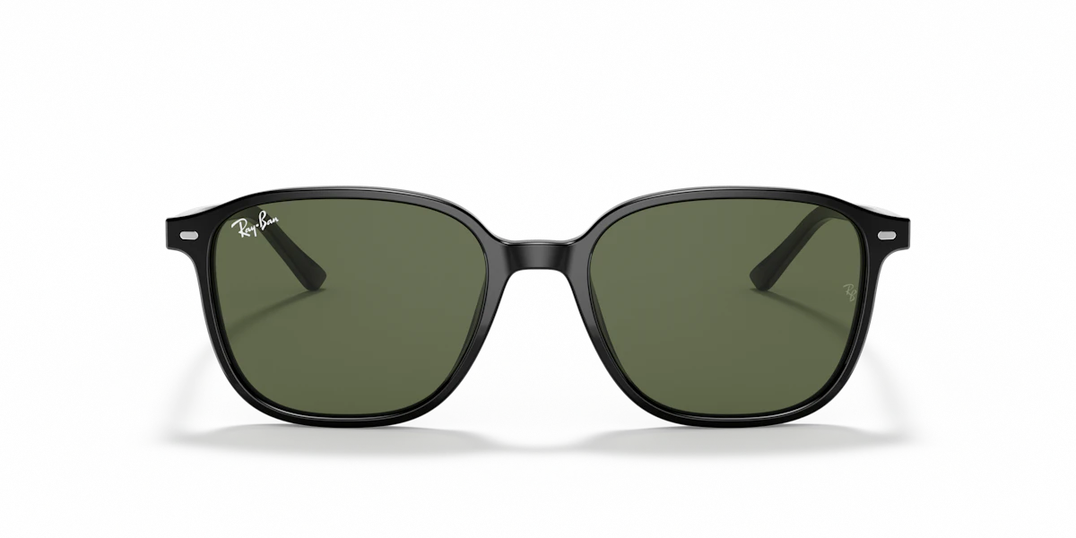 Ray-Ban Leonard RB2193 901/31
