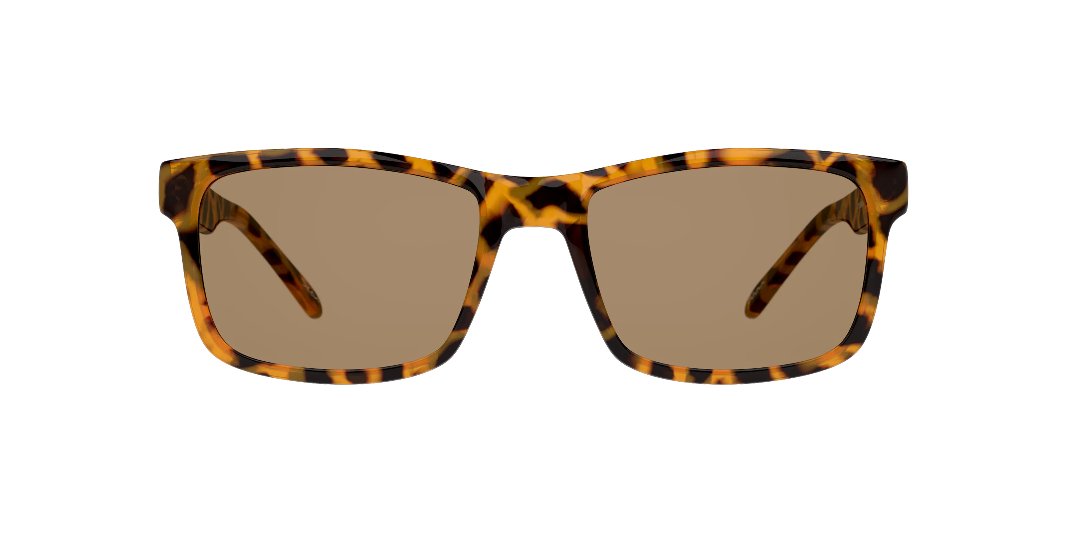 Front, Seen SNSM0011 NE6009 4402D1