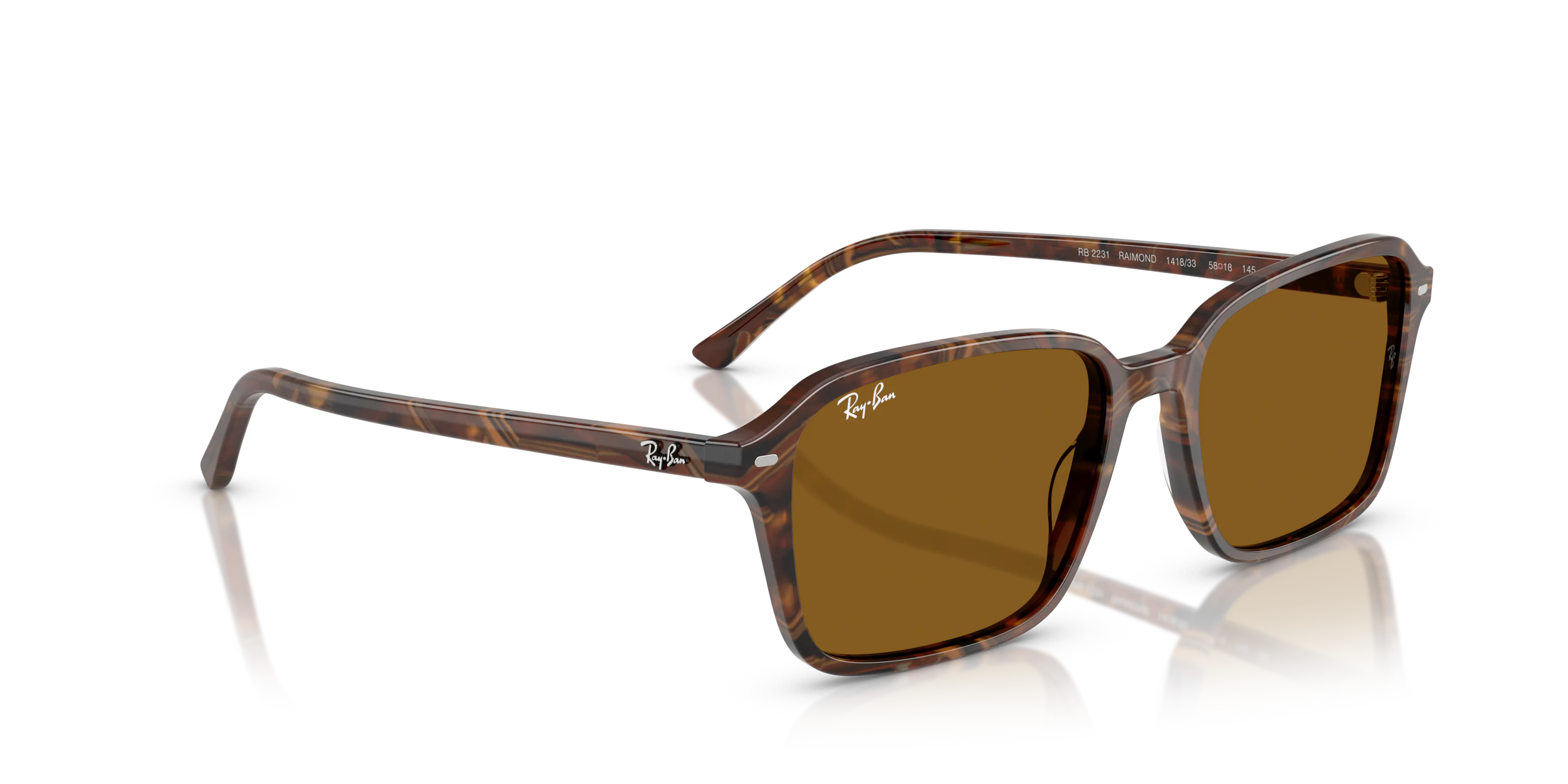 Angle_Right01, Ray-Ban RB2231 Raimond RB2231 0060C