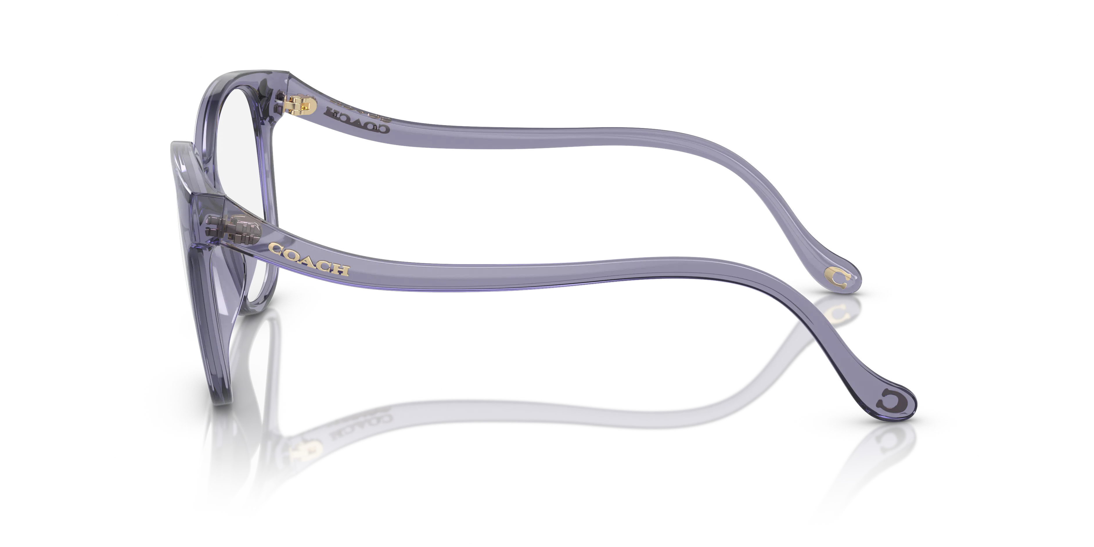 Angle_Left02, Coach HC6218U 5568
