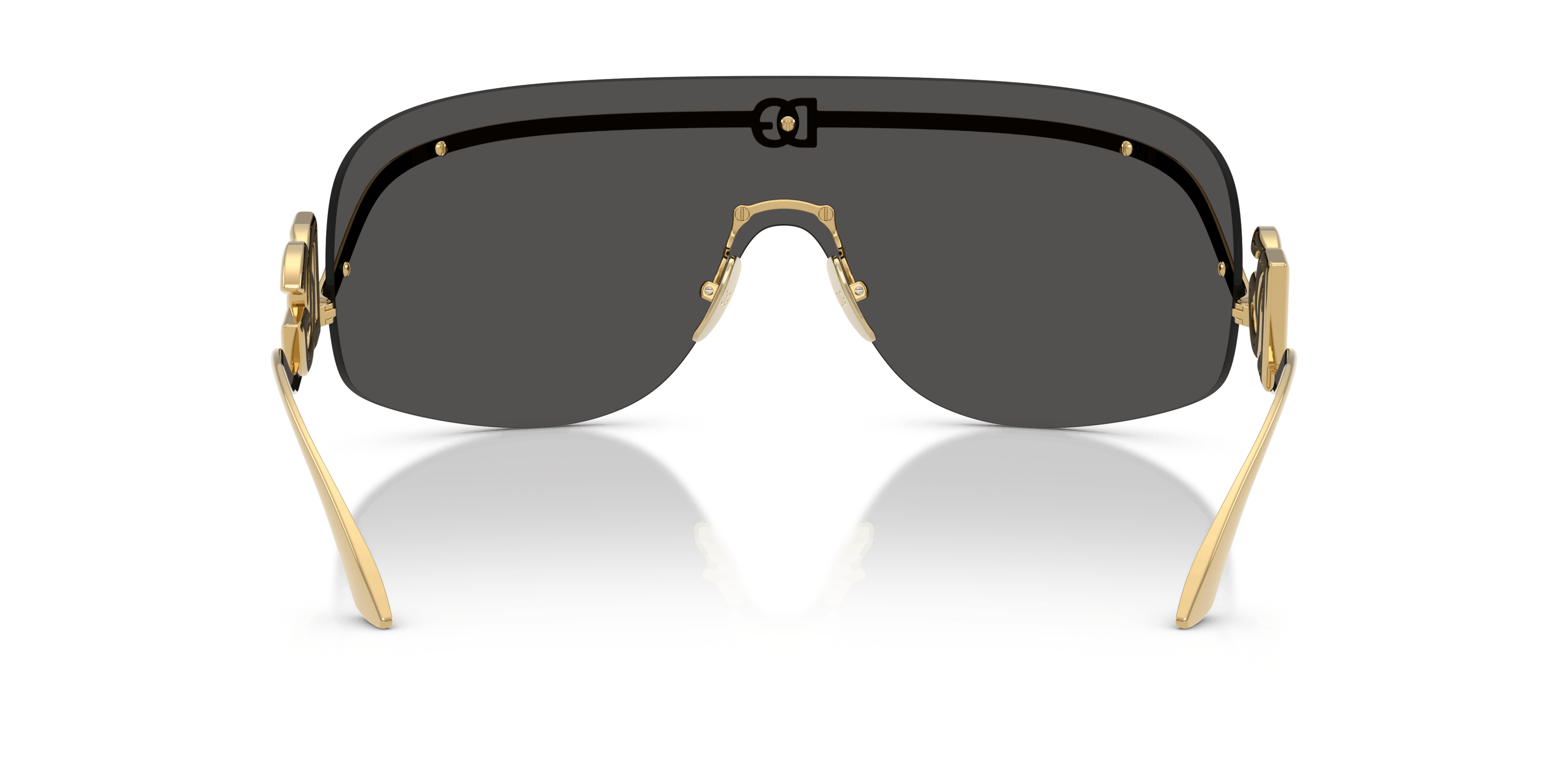 Detail02, Dolce&Gabbana DG2320 02/87