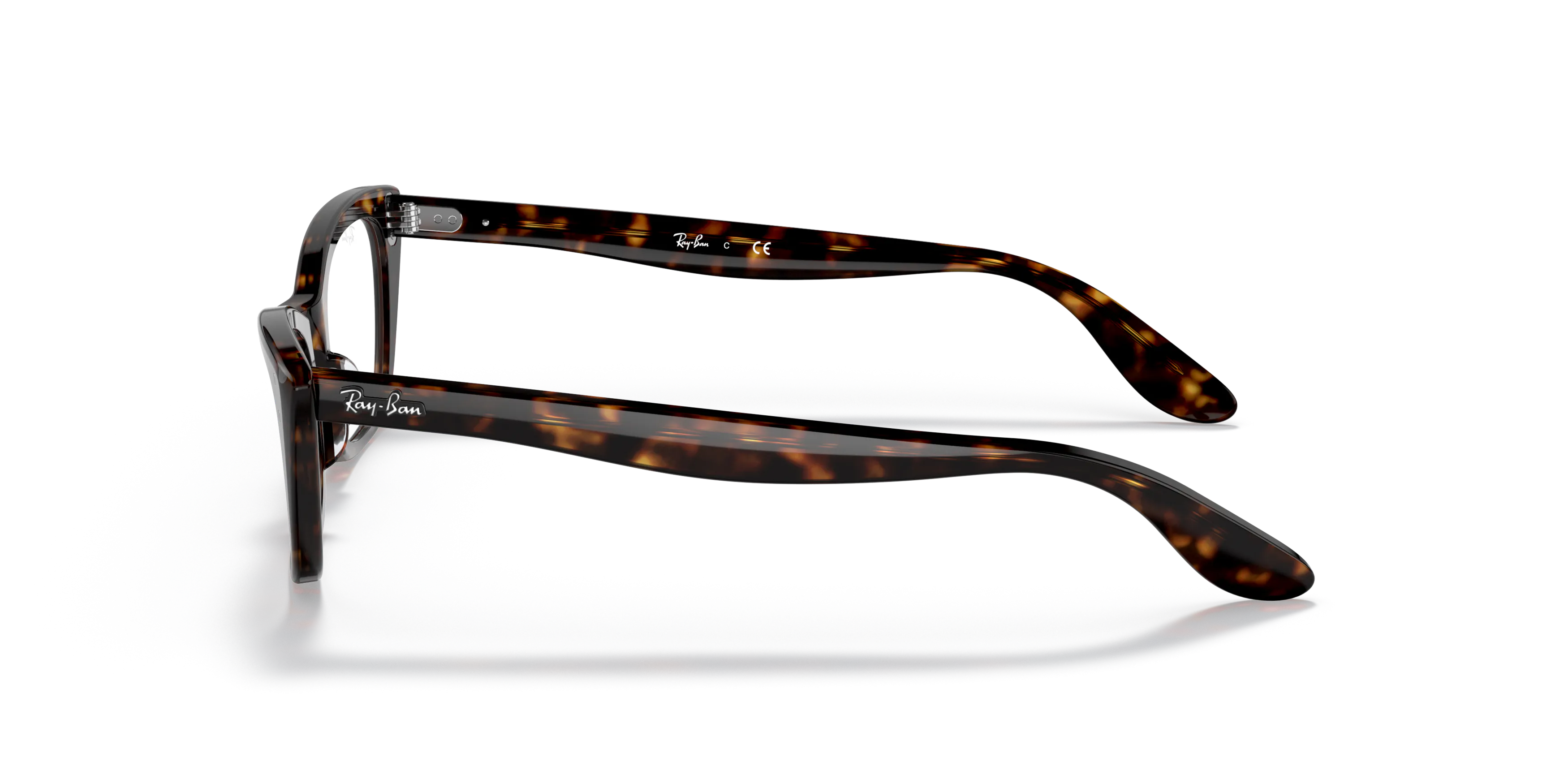 Angle_Left02, Ray-Ban Lady Burbank Optics RB5499 2012