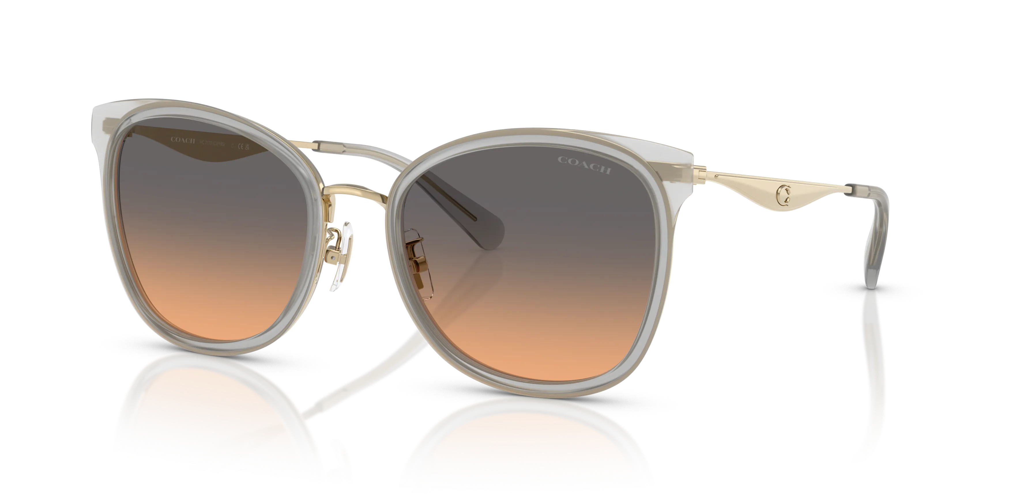 Angle_Left01, Coach HC7170 56/20