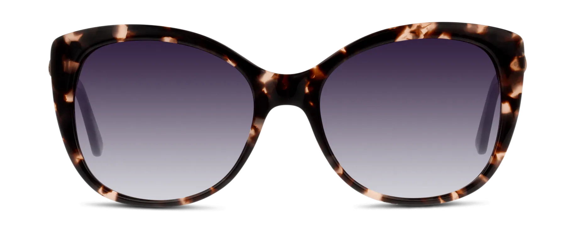 Front, C-LINE CNGF13WCASE HP