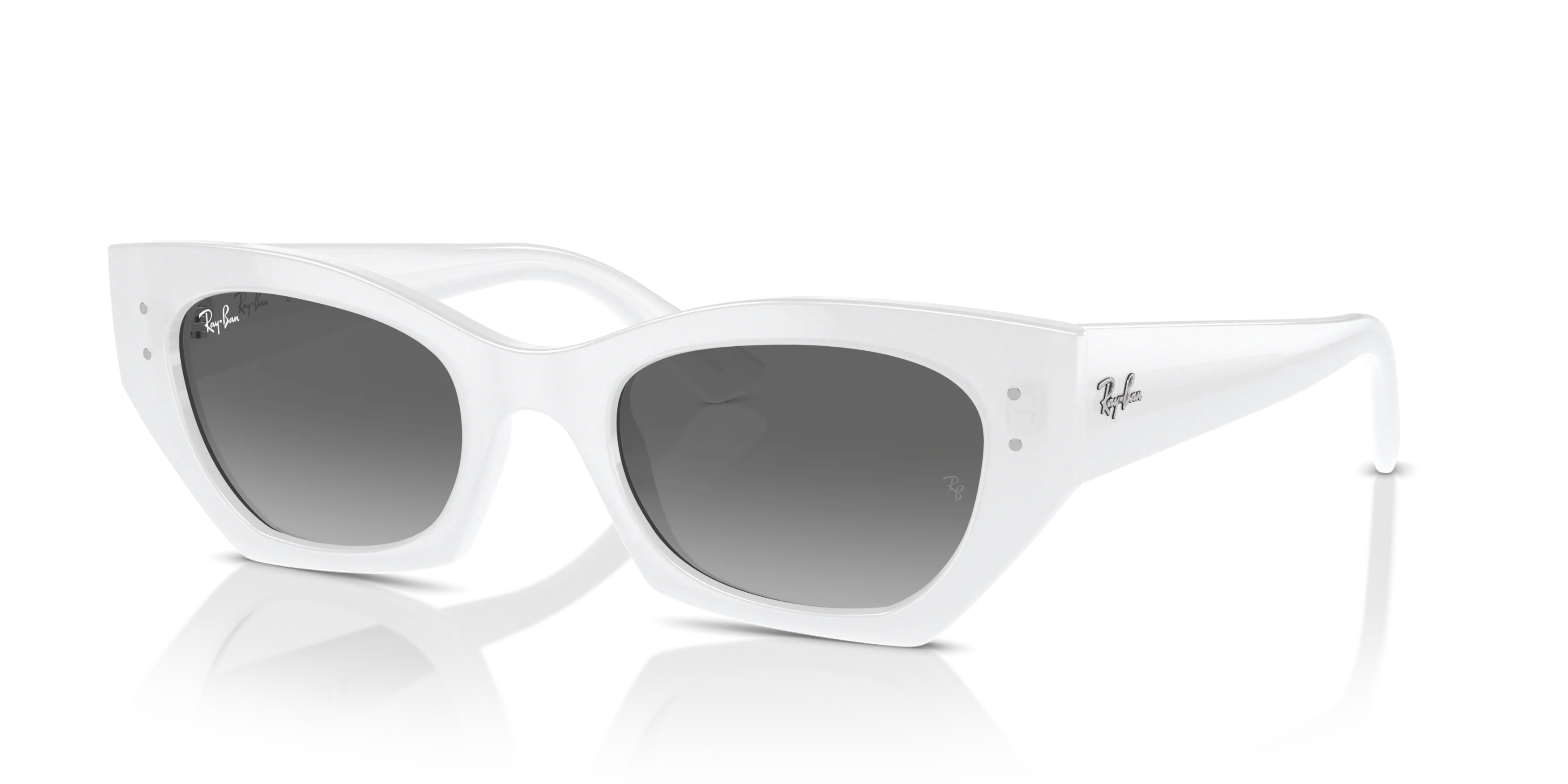 Angle_Left01, Ray-Ban Zena Bio-Based RB 4430 Sunglasses