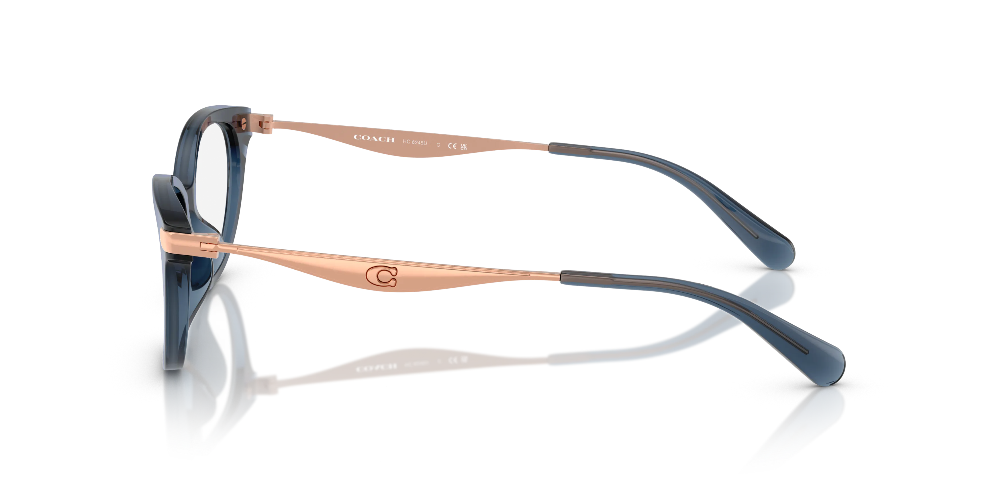 Angle_Left02, COACH HC6245U 5846