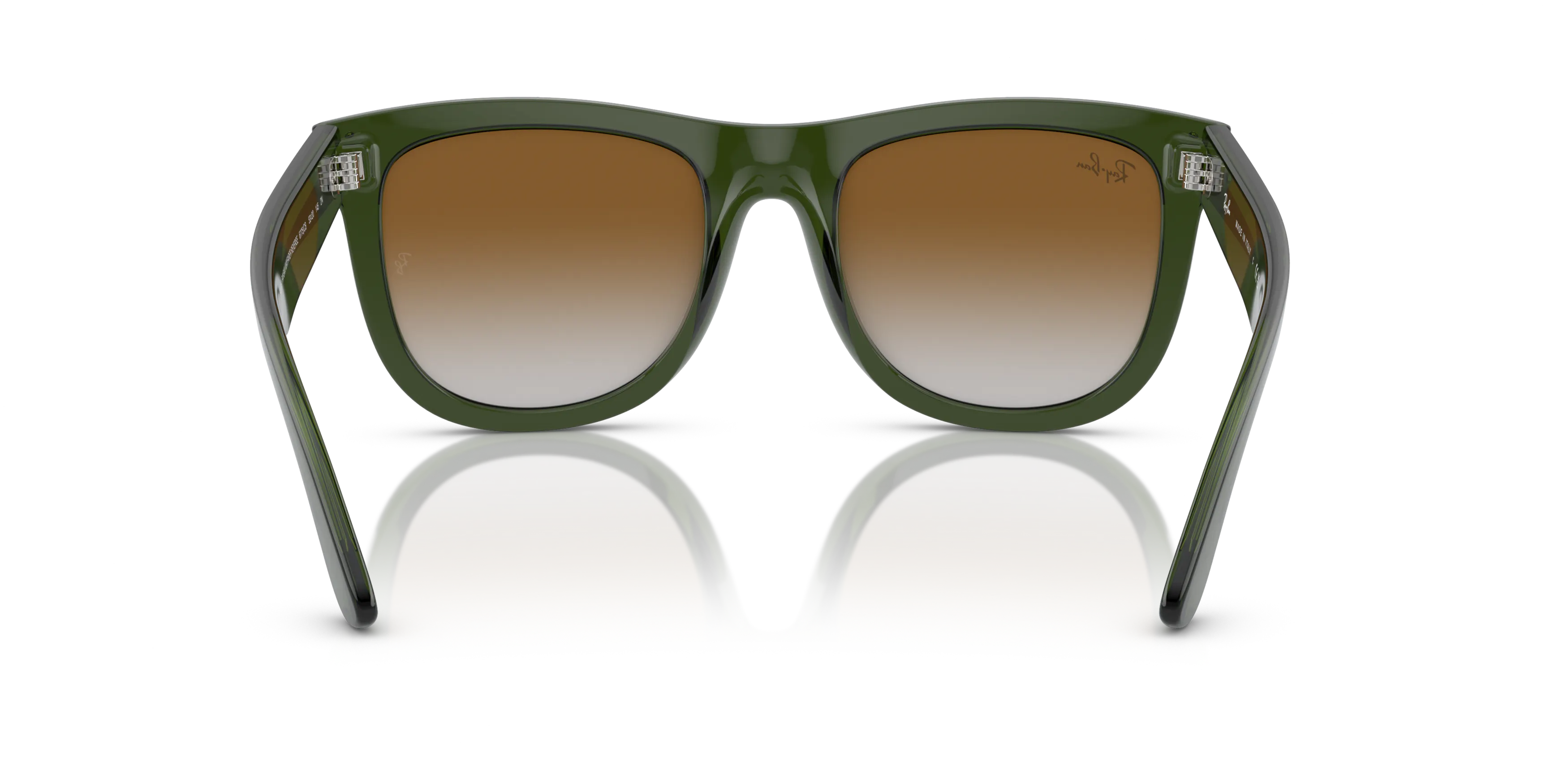 Detail02, Ray-Ban Wayfarer Reverse RBR 0502S Sunglasses