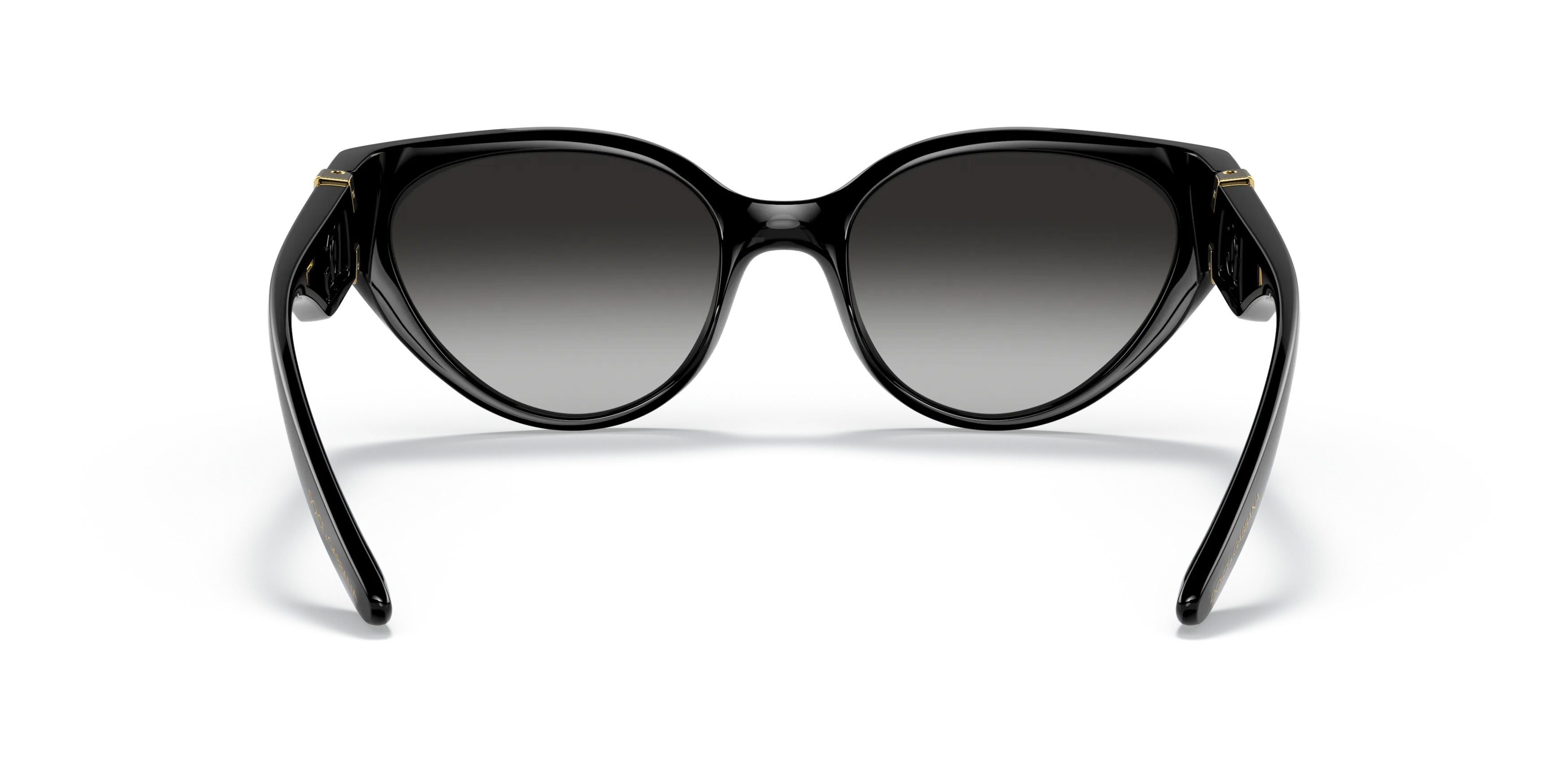 Detail02, Dolce&Gabbana DG6146 501/8G