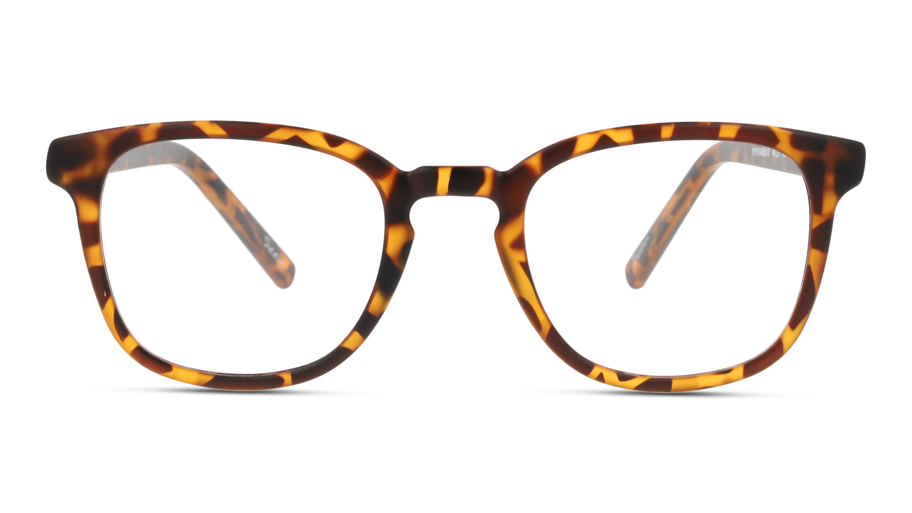 Front, SEEN SNOM5003 HH00