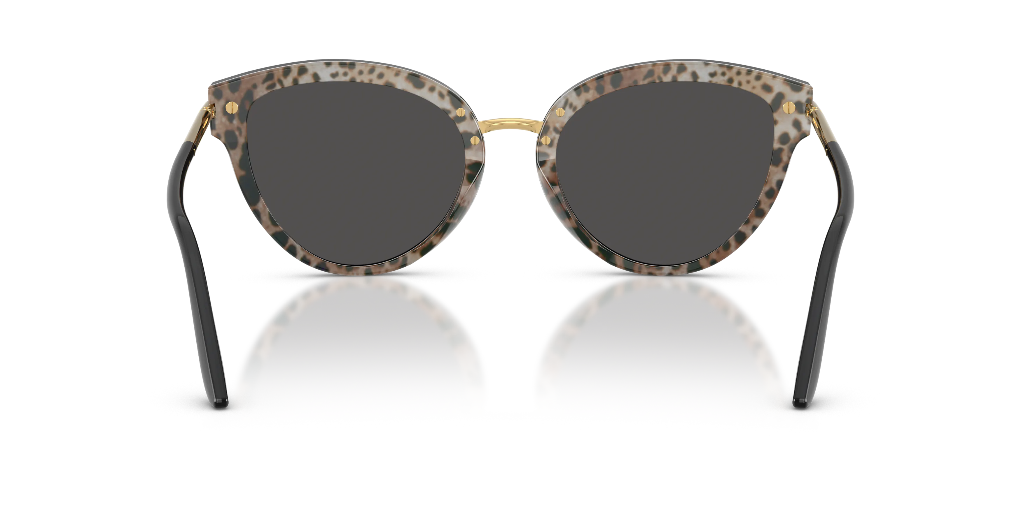 Detail02, Dolce & Gabbana DG 4492 Sunglasses