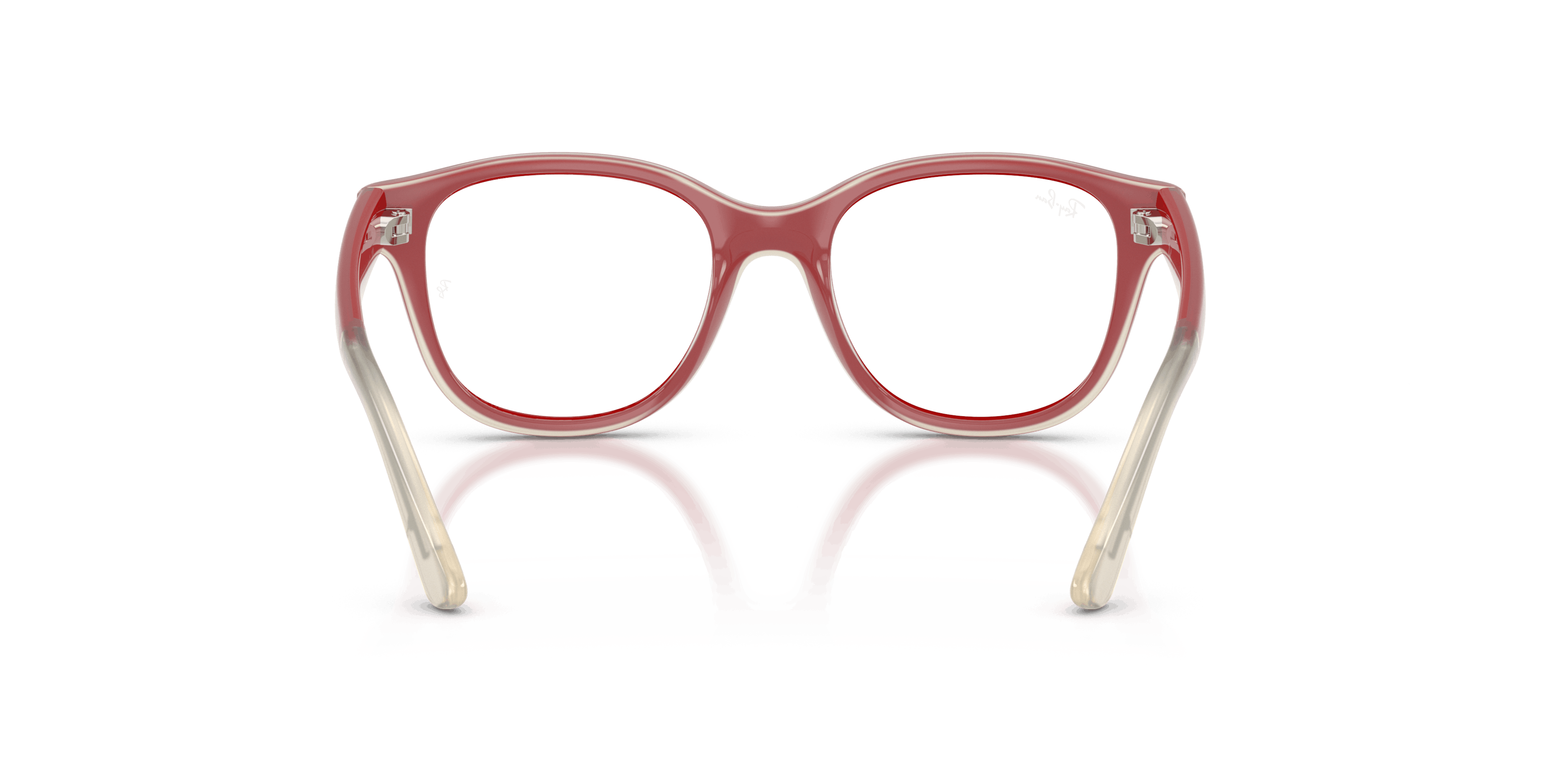 Detail02, Ray-Ban RB1950 7204