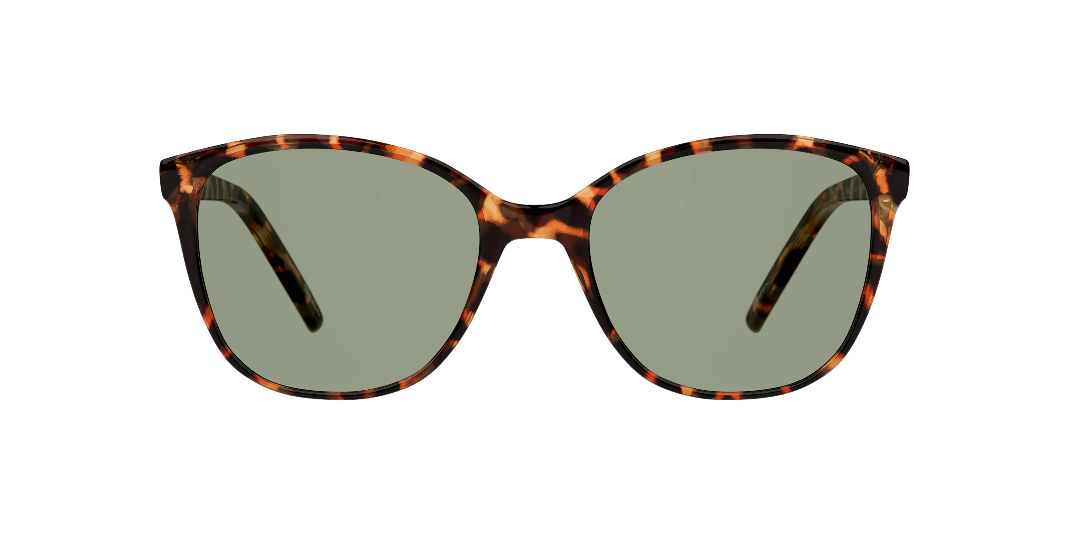 Front, Seen SNSF0025 NE6008 4402J1