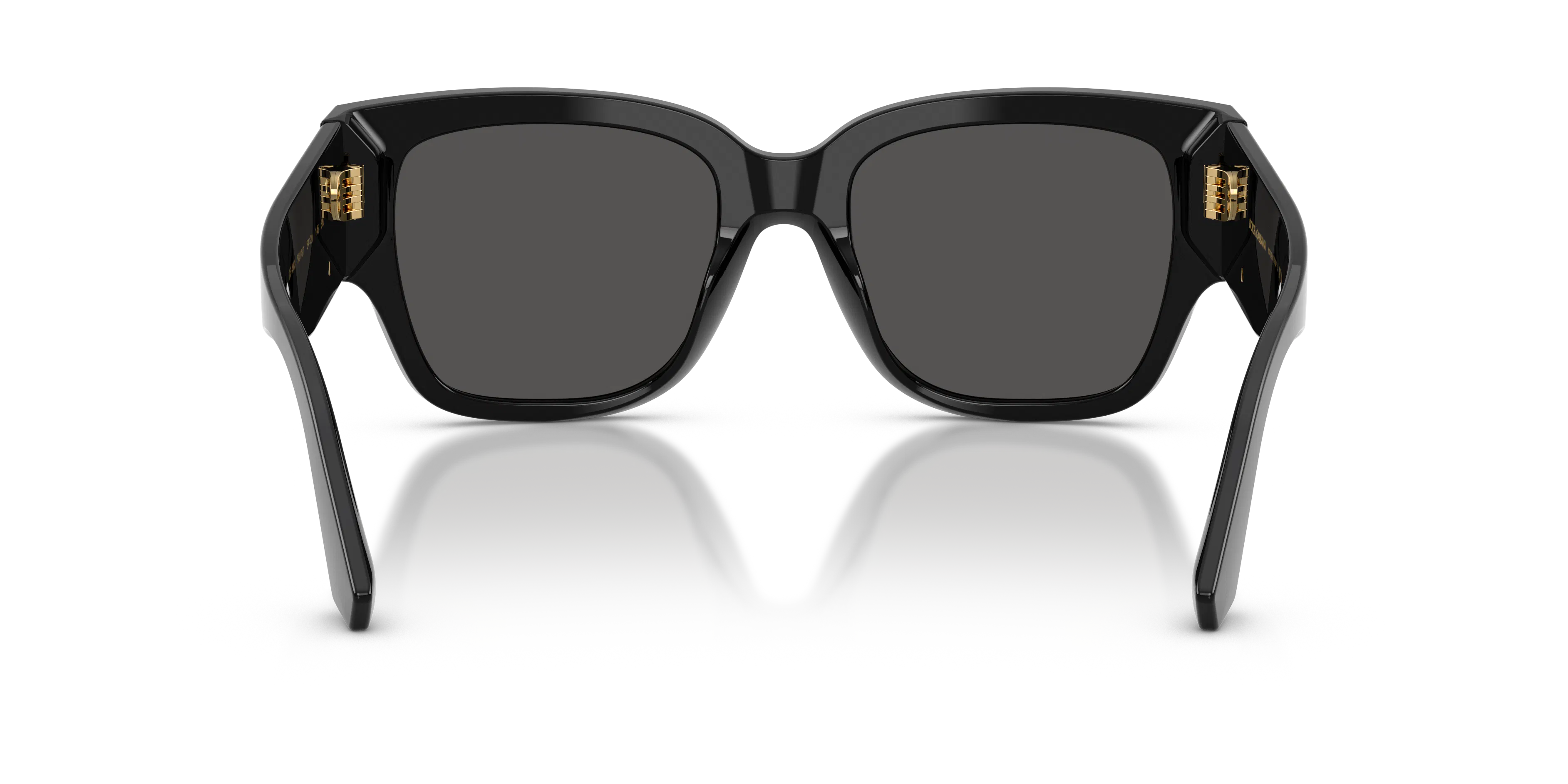 Detail02, Dolce & Gabbana DG 4563 Sunglasses