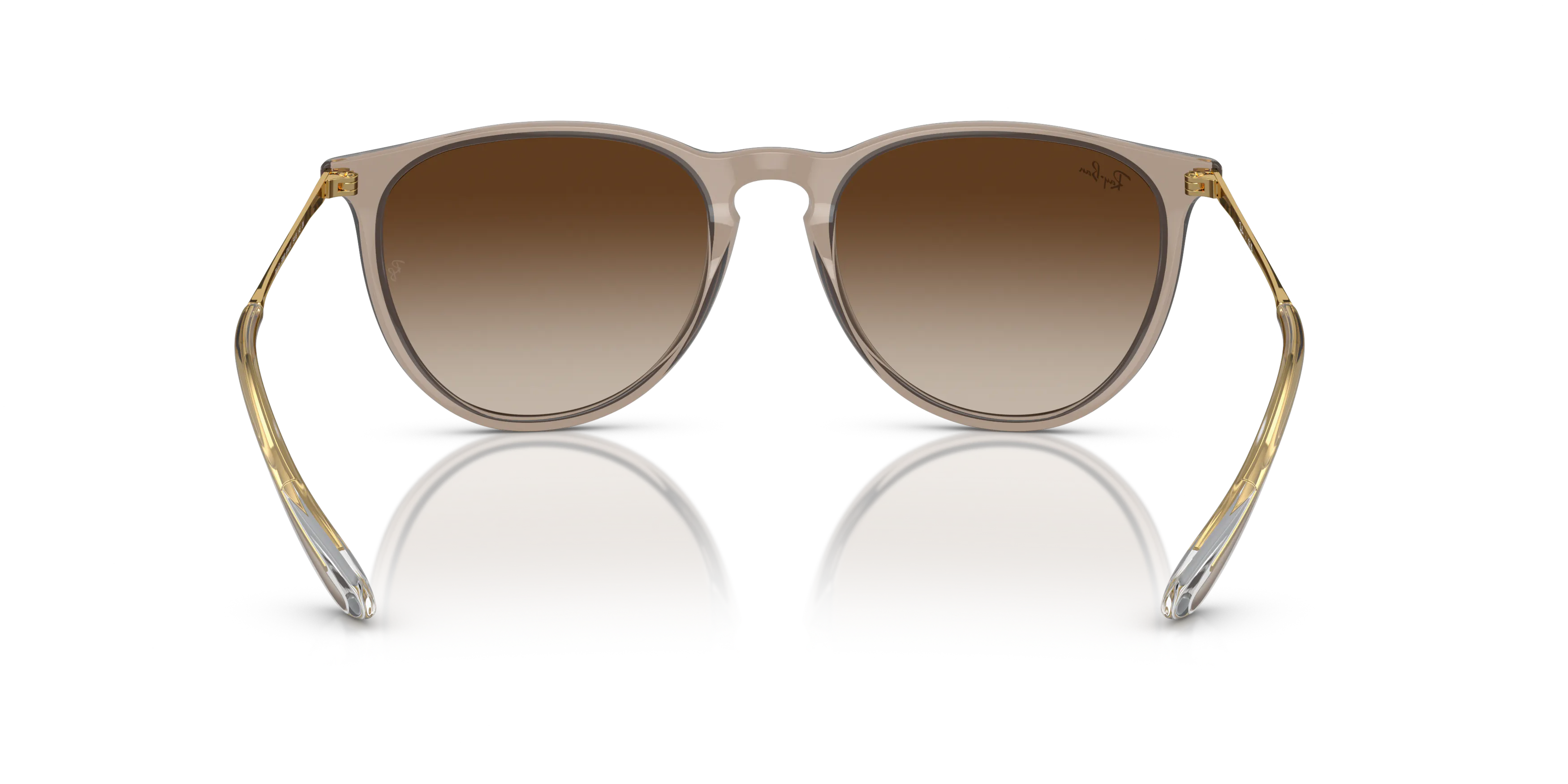 Detail02, Ray-Ban Erika Classic RB 4171 Sunglasses