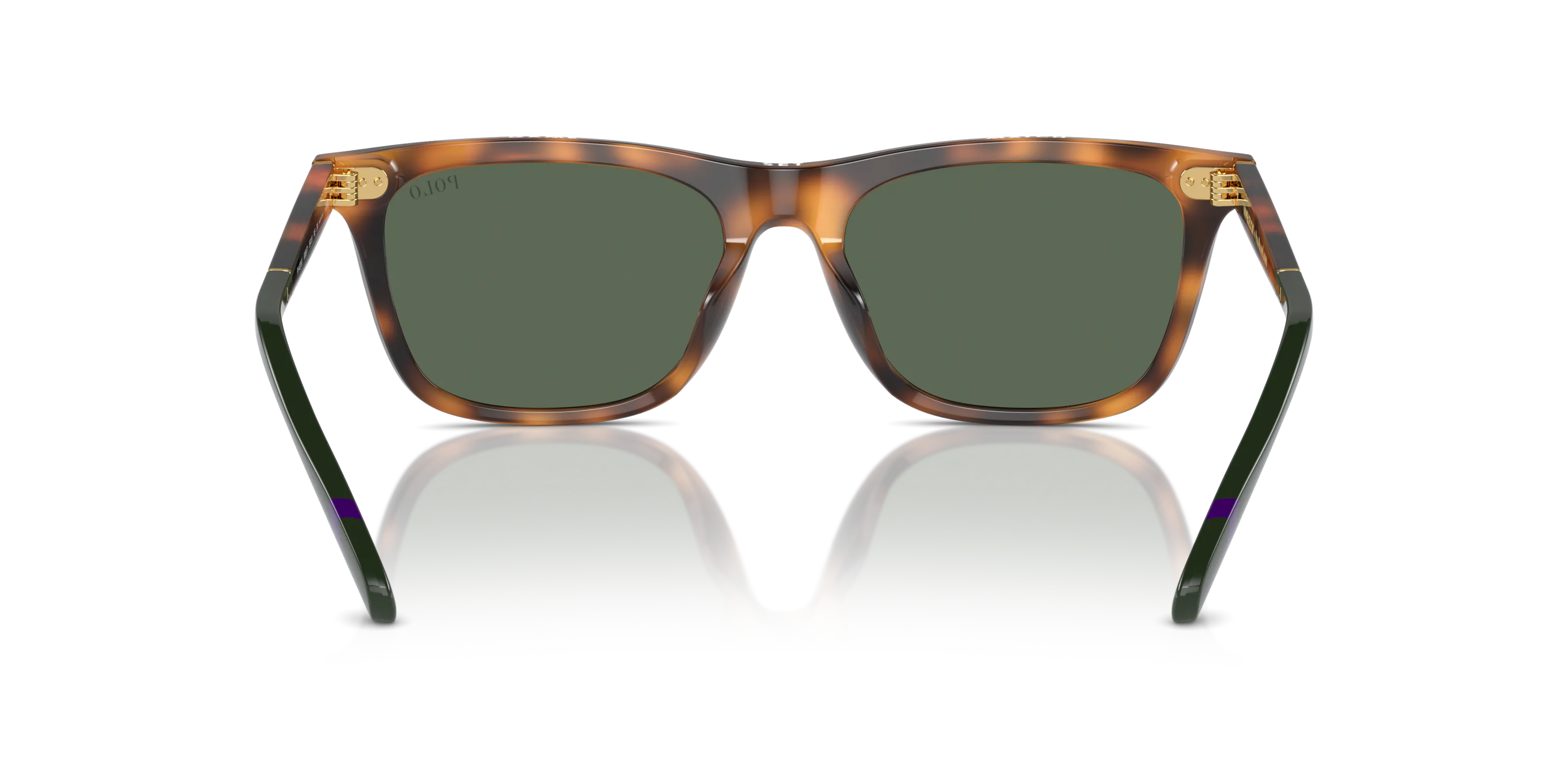 Detail02, Polo Ralph Lauren PH 4205U Sunglasses