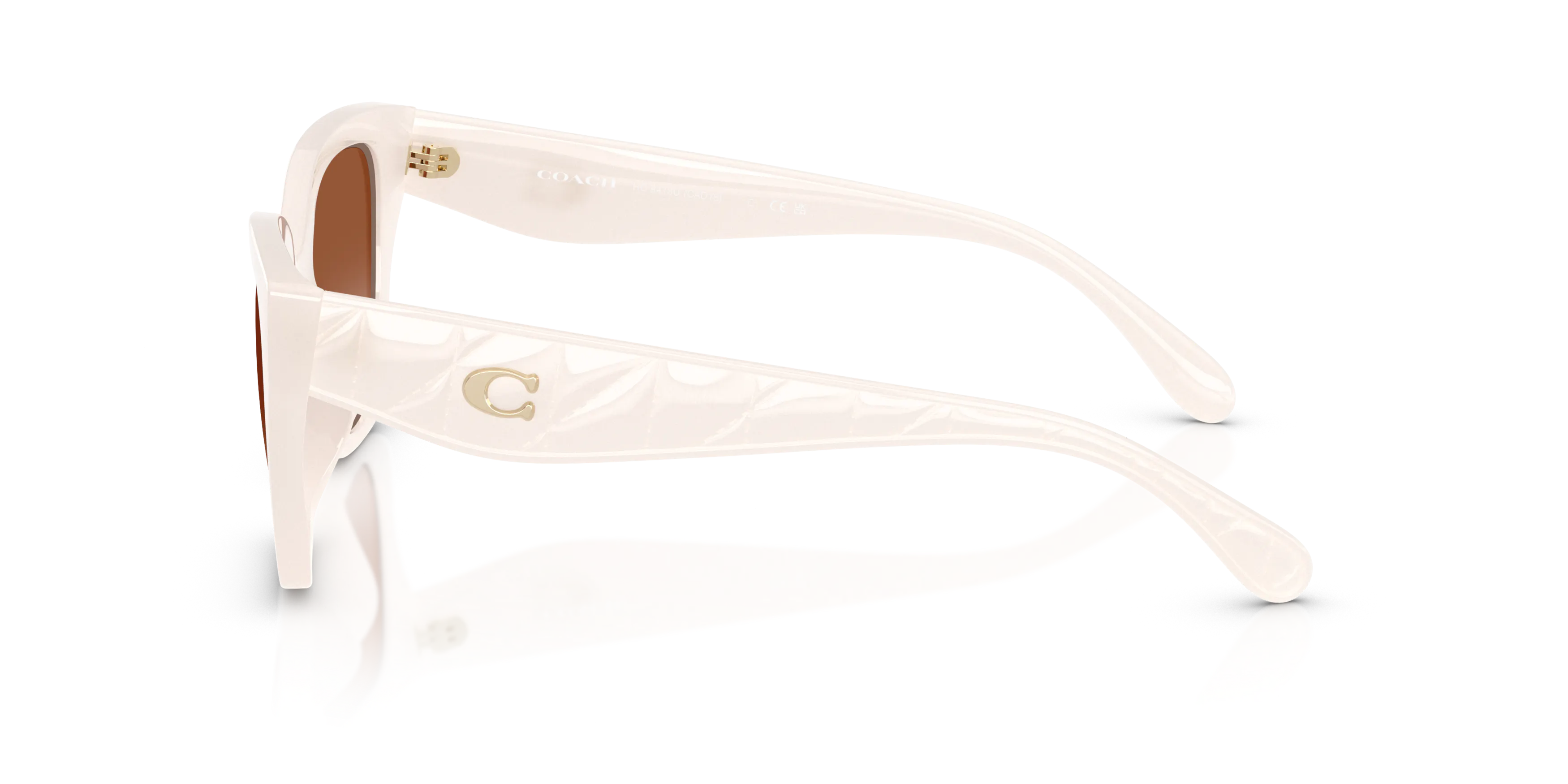 Angle_Left02, Coach HC8418U 53/20