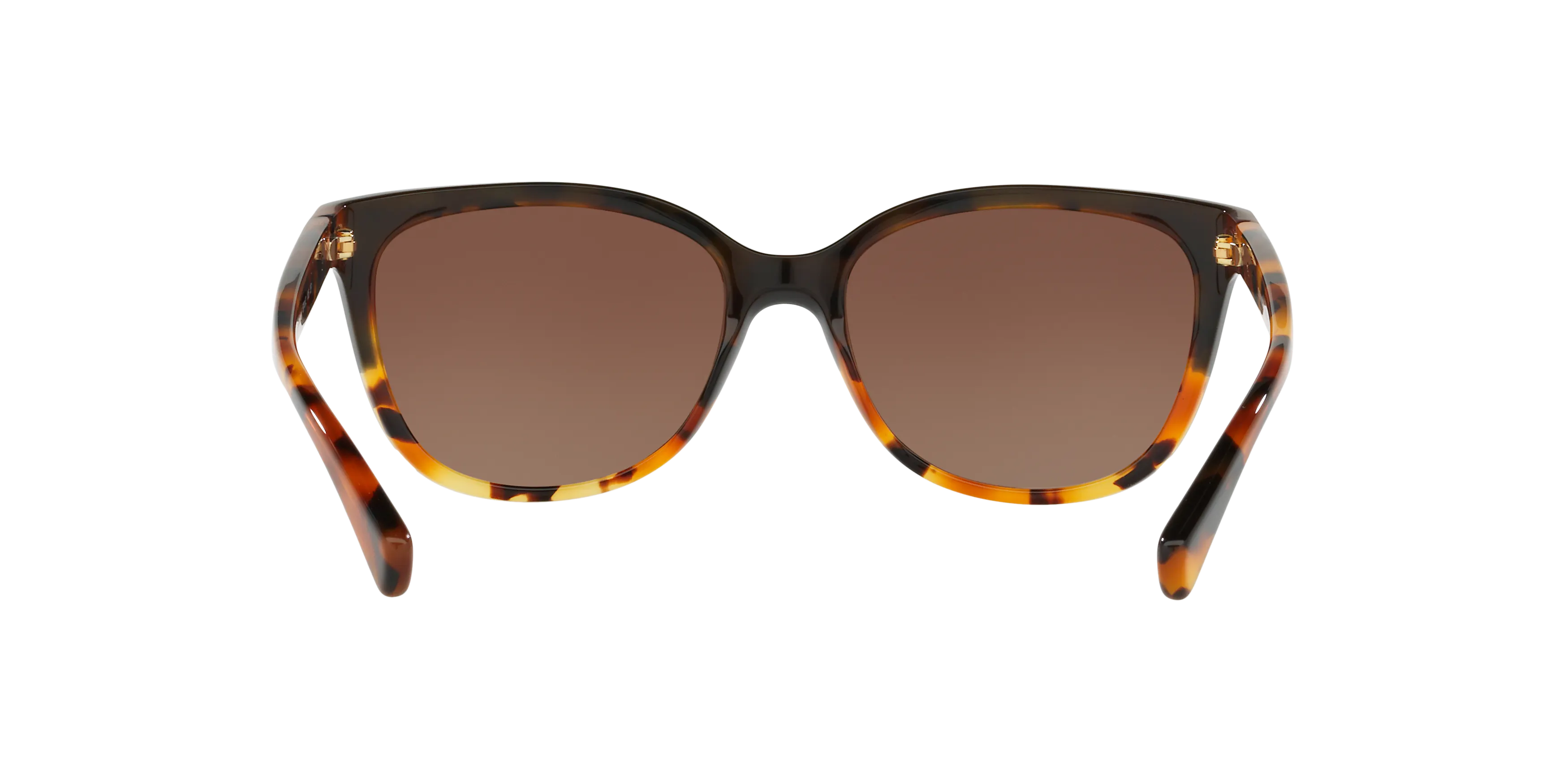 LOVE２８９６ Coach 0HC8132 zonnebril paars kopen bij | Pearle Opticiens