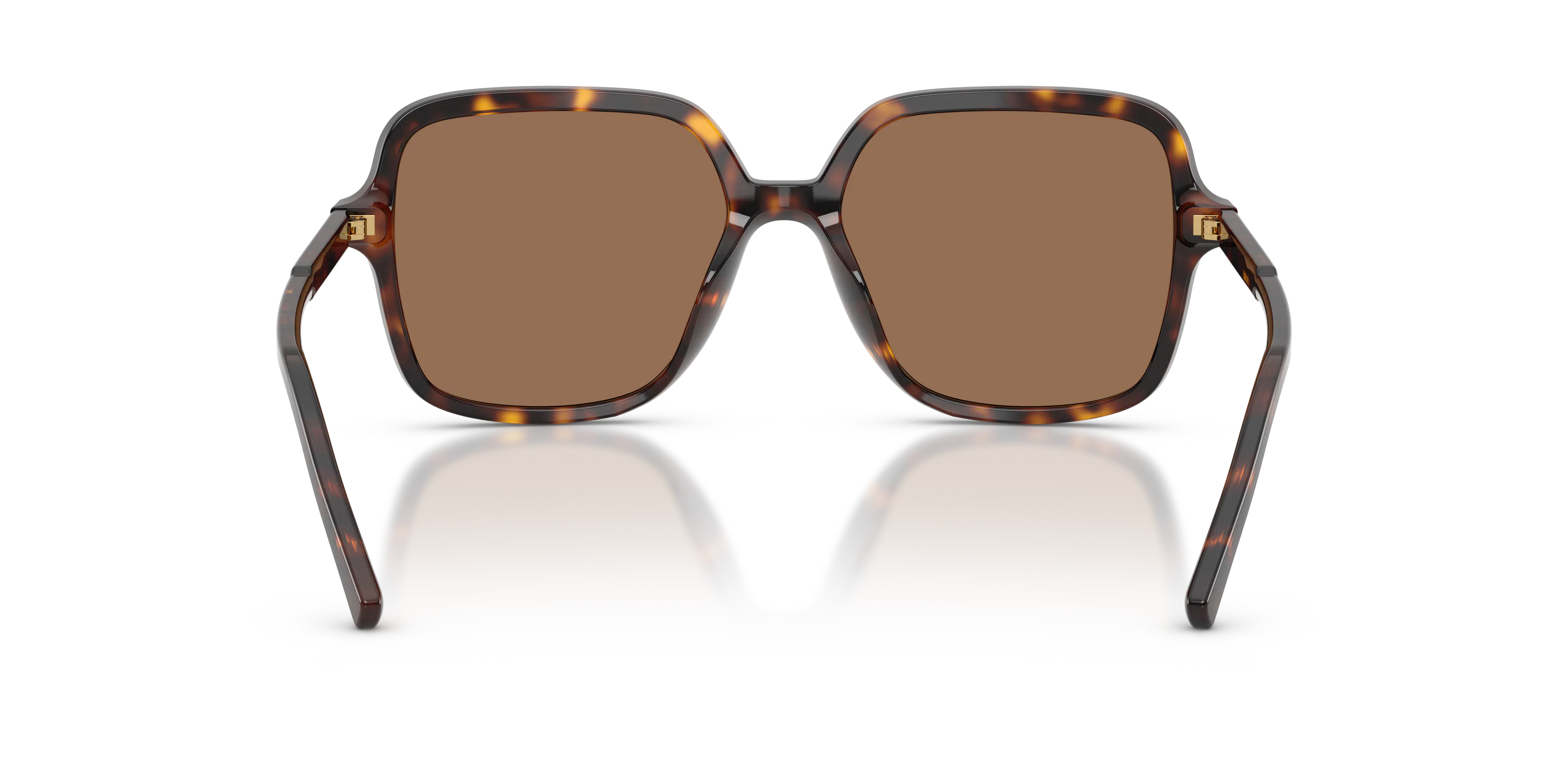 Detail02, Dolce & Gabbana DG 4539 Sunglasses