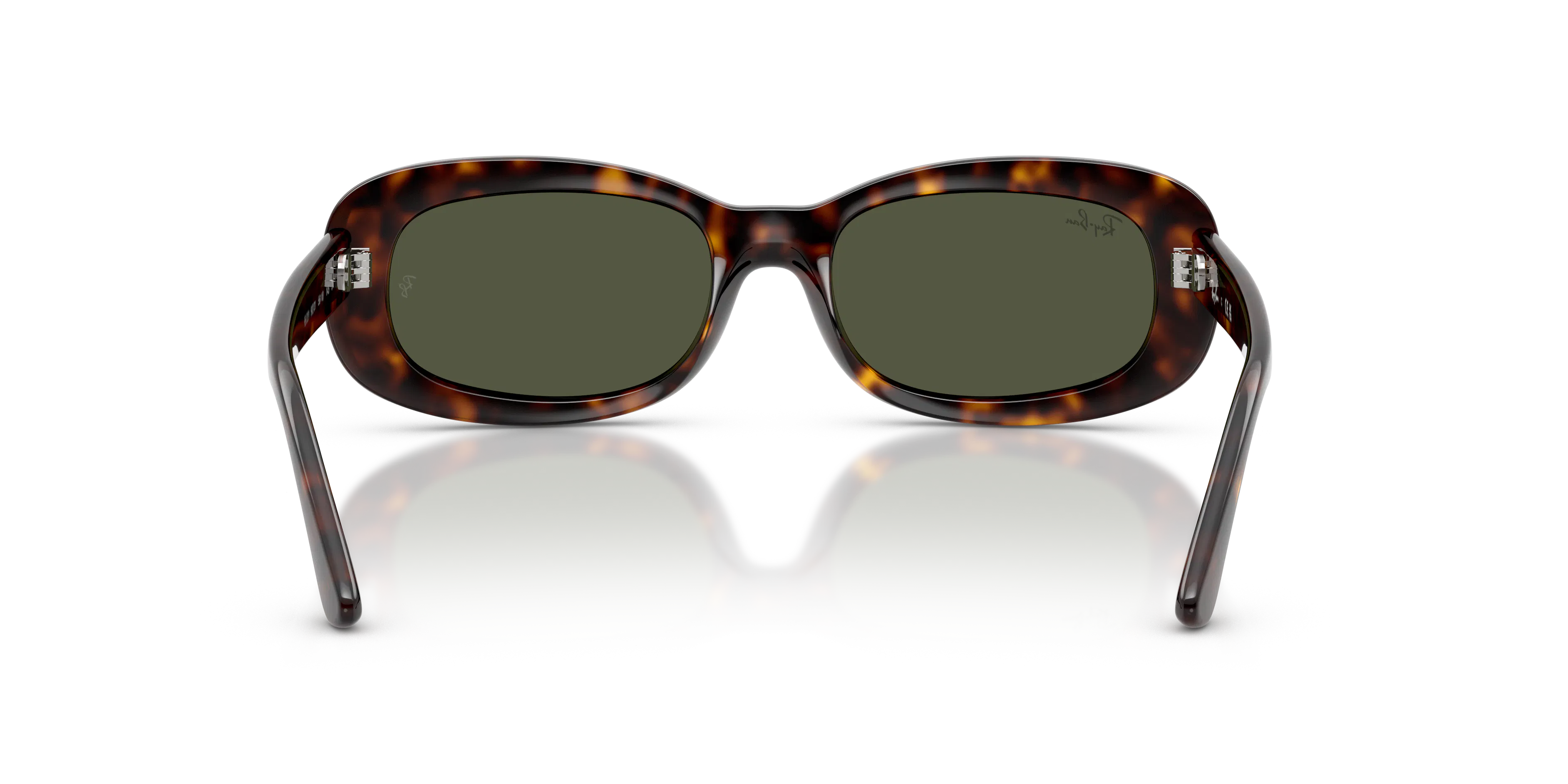 Detail02, Ray-Ban RB 2221 Sunglasses