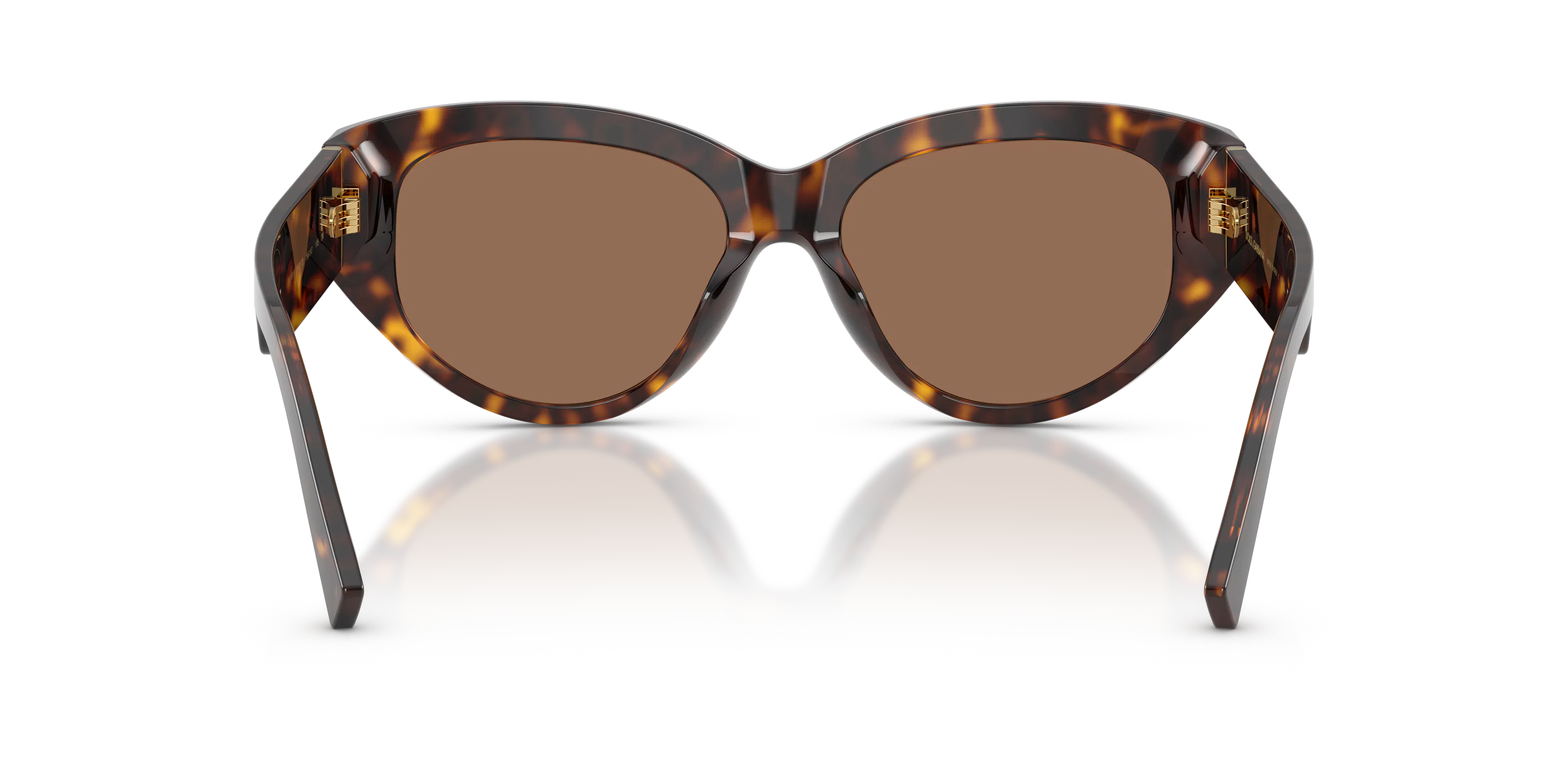 Detail02, Dolce & Gabbana DG 4514 Sunglasses
