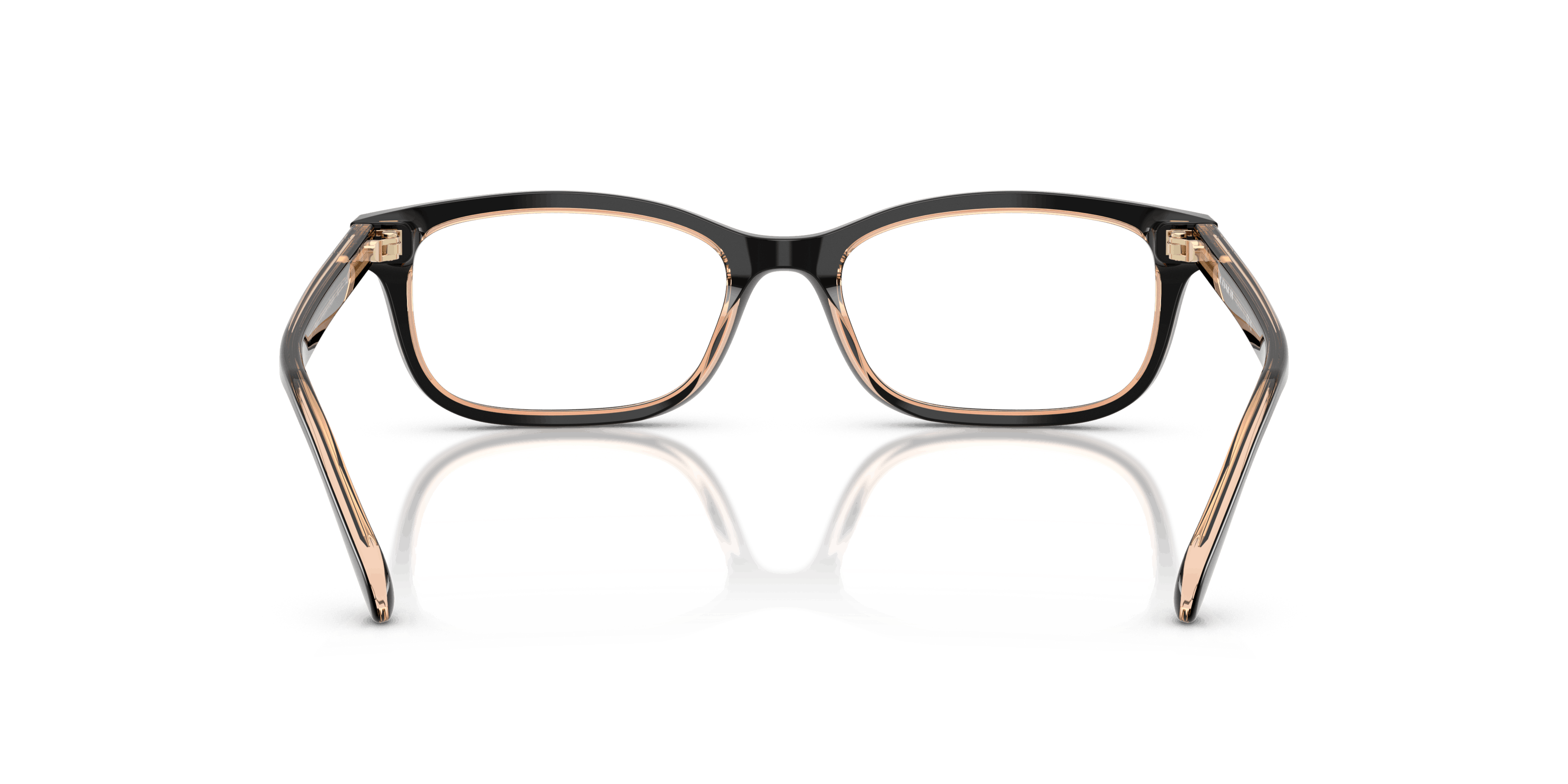 Detail02, Coach HC 6174 Glasses