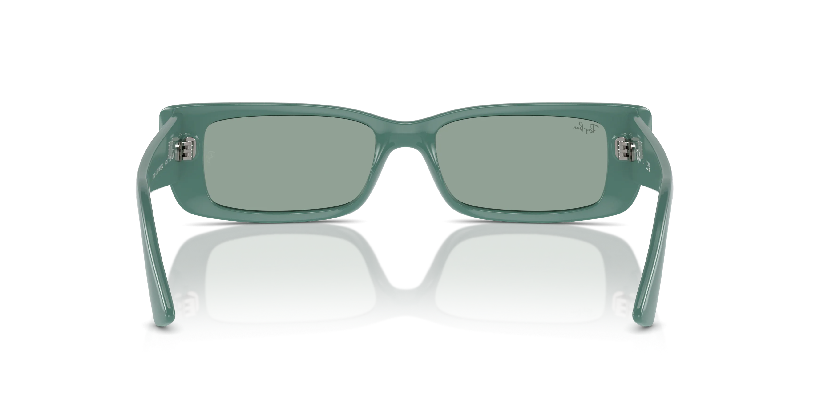 Detail02, Ray-Ban Teru Bio-Based RB 4425 Sunglasses