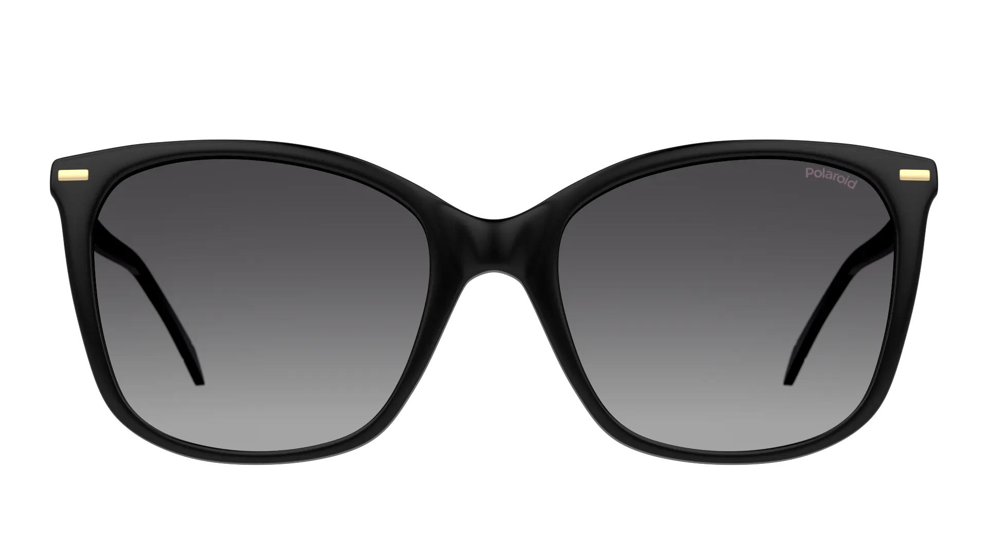 Front, Polaroid P4000418 807