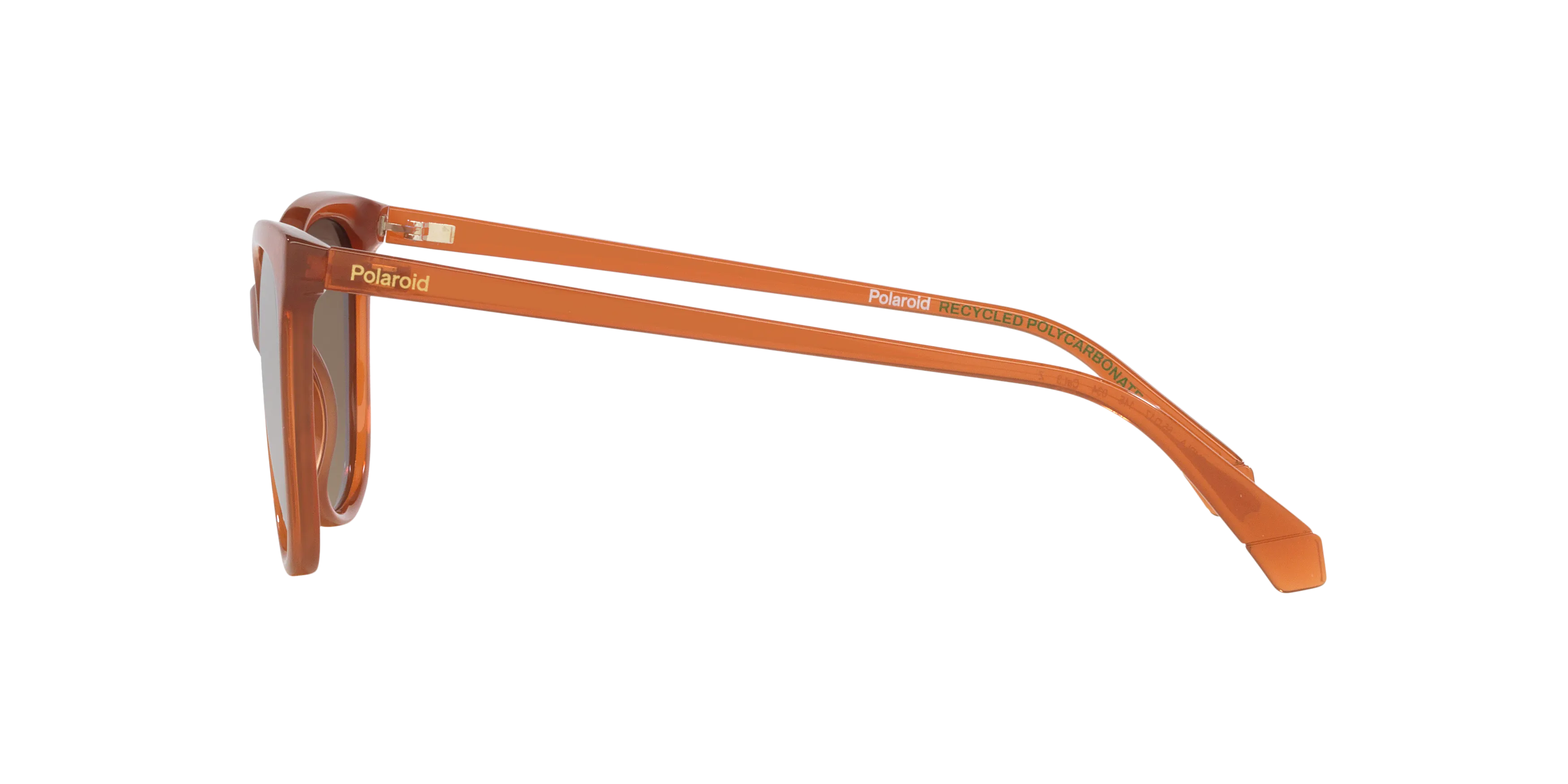 Angle_Left02, Polaroid PLD 4179/S P4000743 1800D5