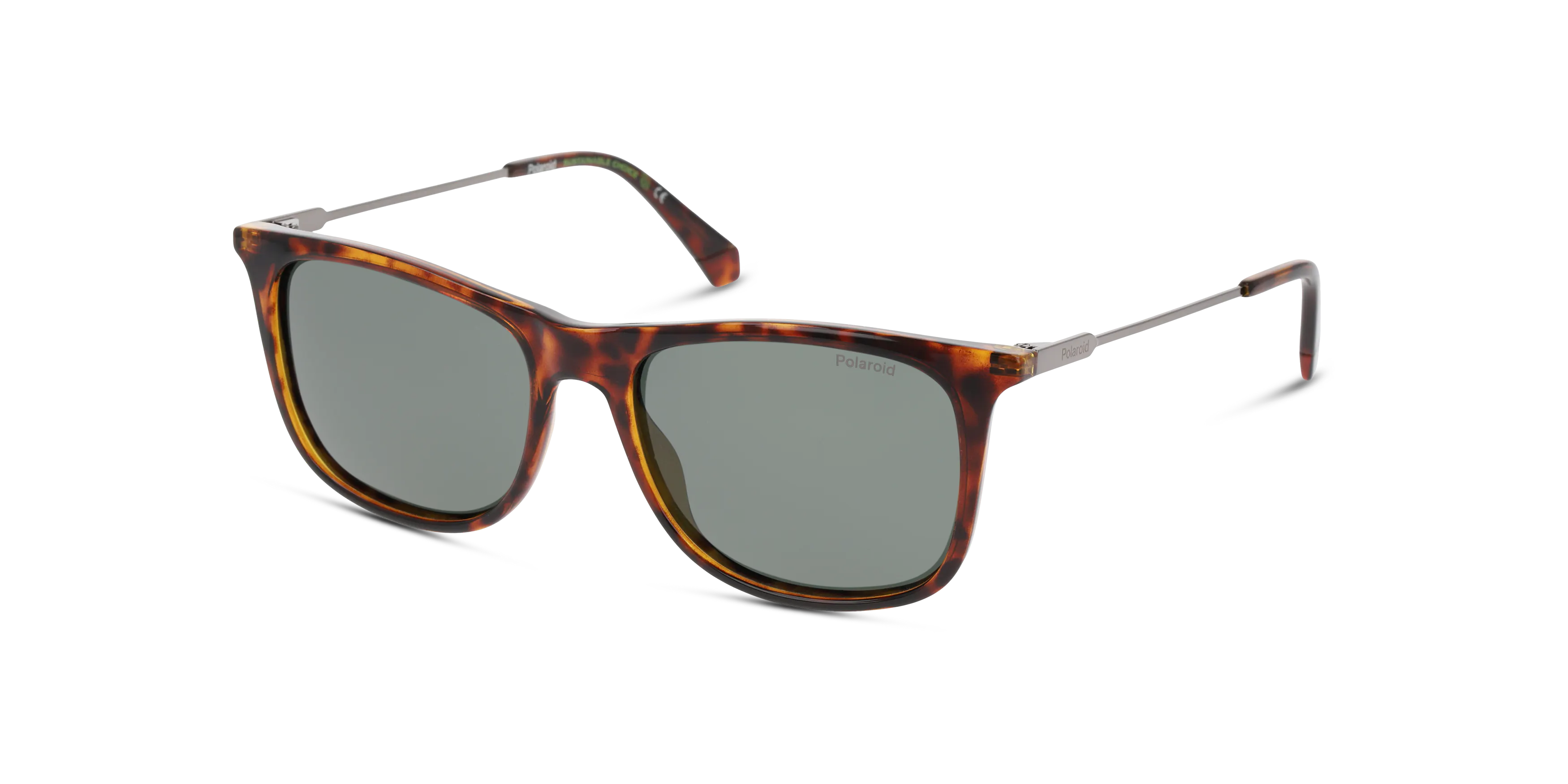 Angle_Left01, Polaroid P4000620 4580J7