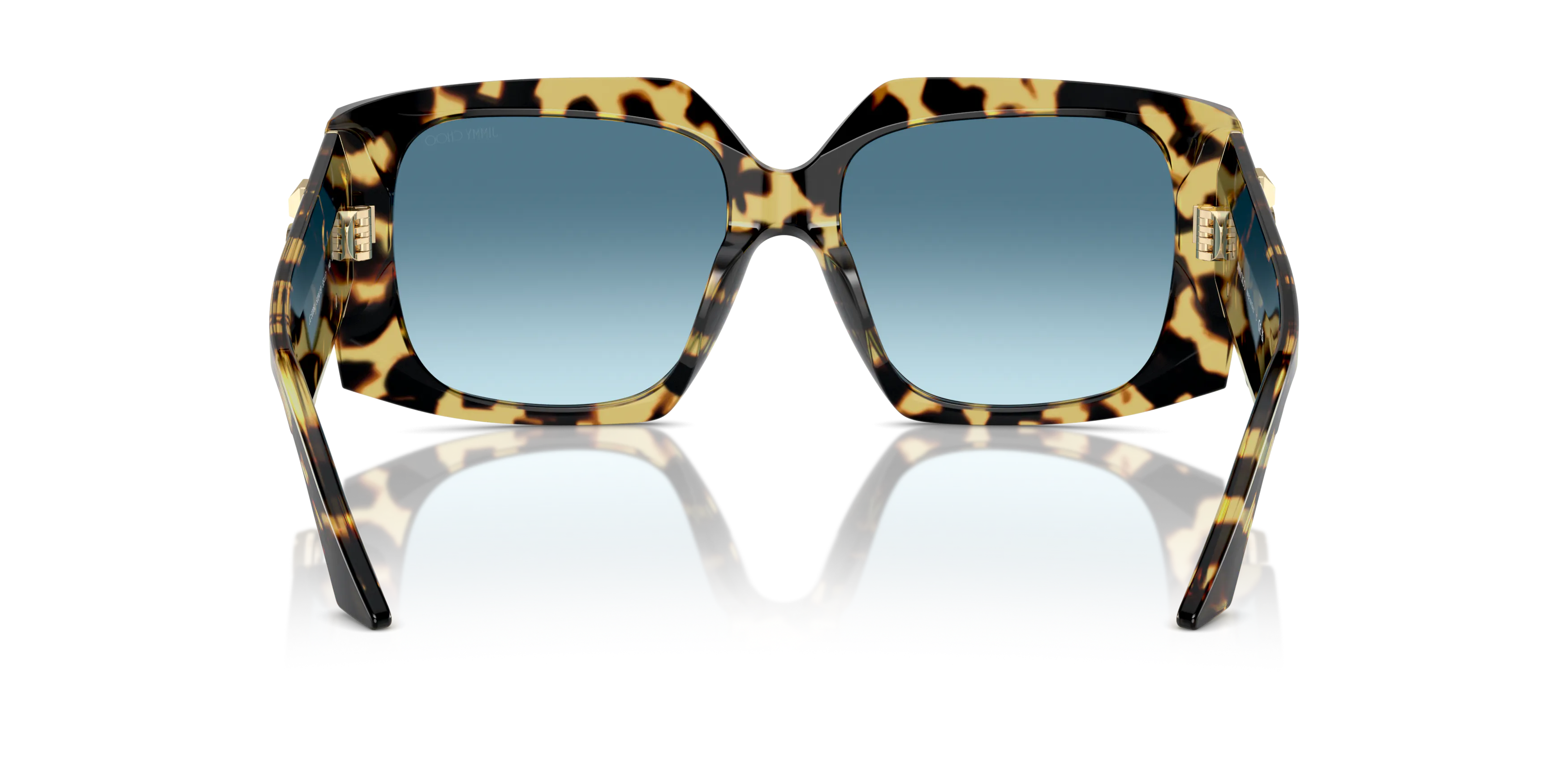 Detail02, Jimmy Choo JC5006U Sunglasses