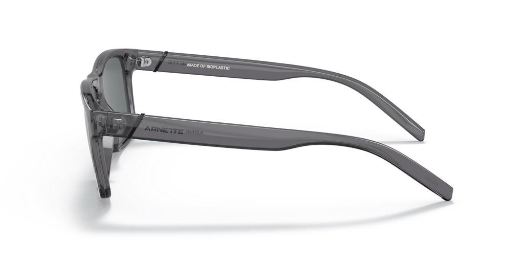 Sunglasses AN 4298 Vision Express