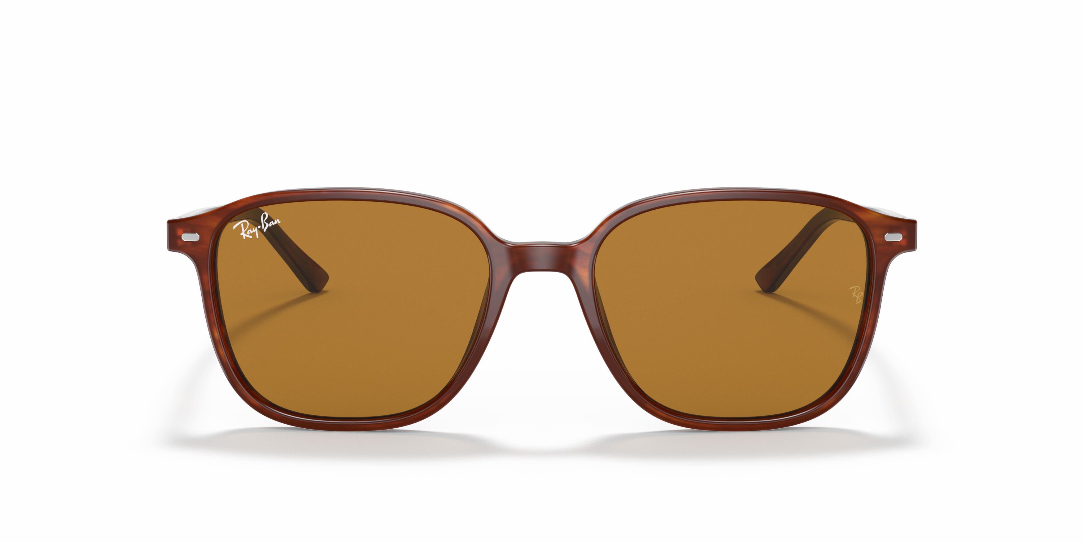 [products.image.front] Ray-Ban Leonard RB2193 954/33