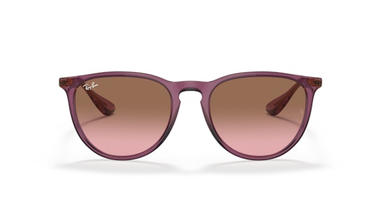 Ray-Ban RB 4171 Sunglasses Brown / Purple