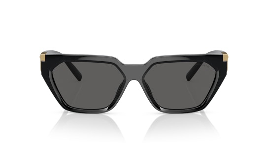 Tiffany & Co TF 4205U (8001S4) Sunglasses Grey / Black