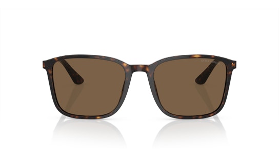 Giorgio Armani AR 8197 Sunglasses Brown / Havana